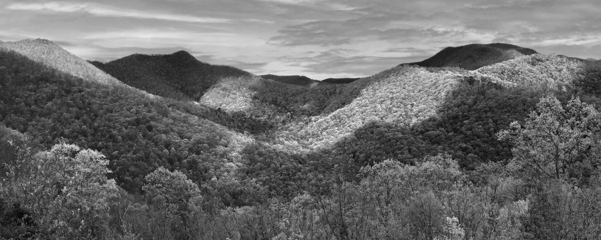 Blue Ridge Parkway, Lane Pinnacle Overlook, 2026