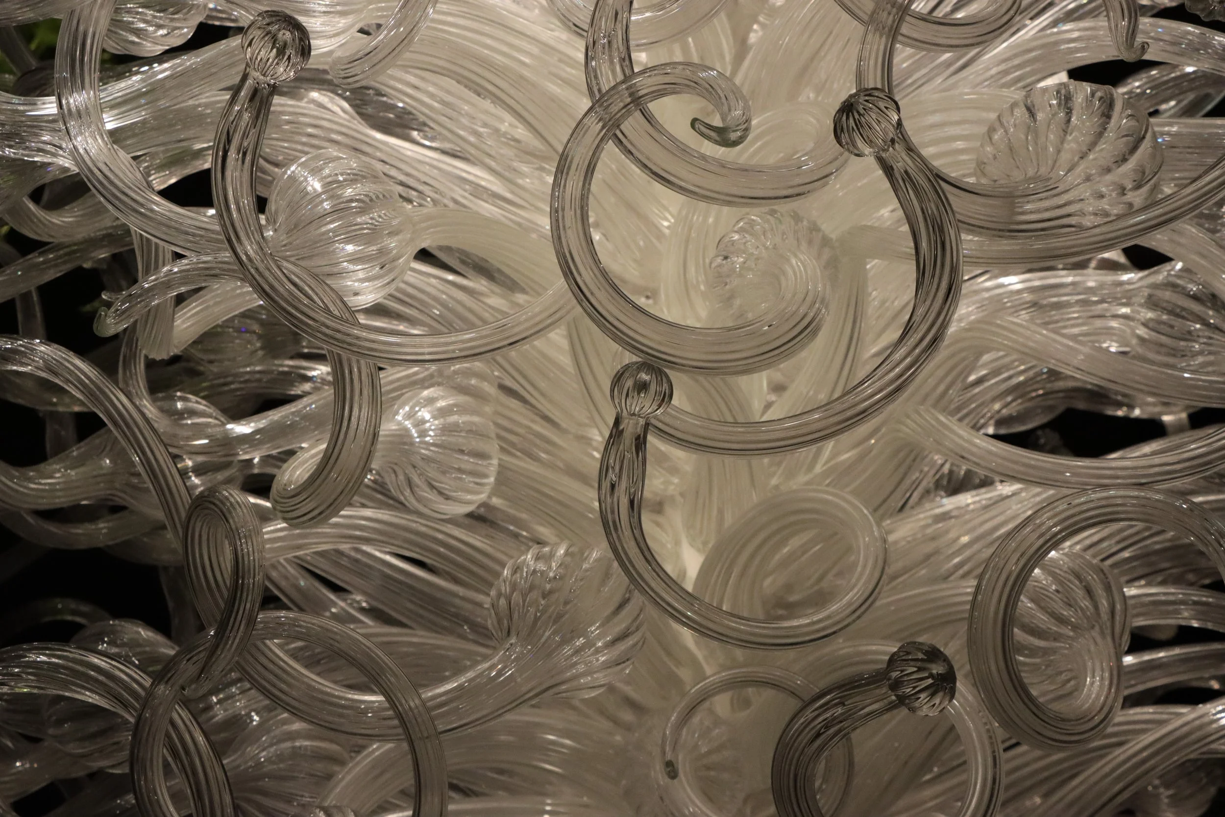 Close-up view of a chandelier made of clear, twisted glass rods with a black background.