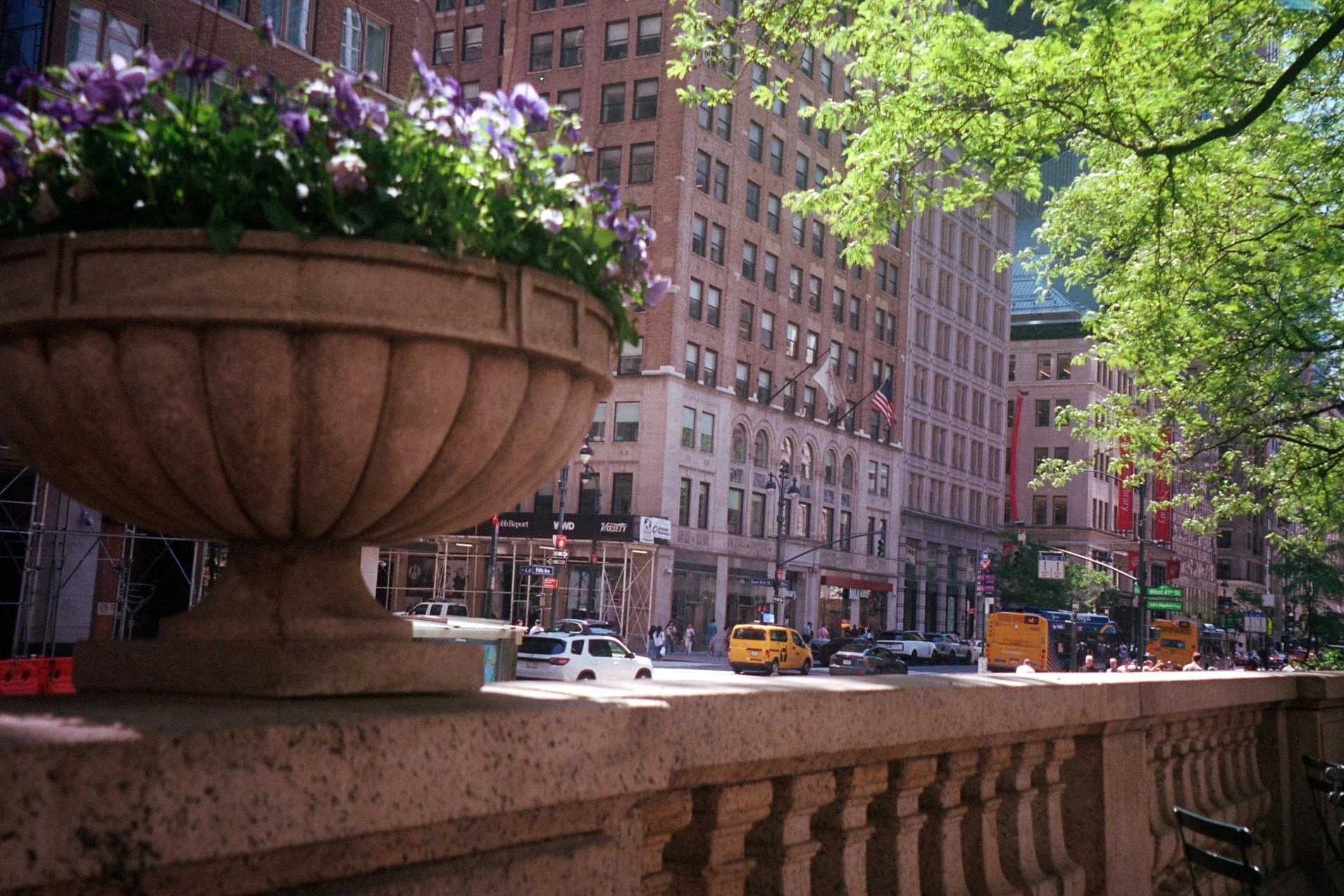 City street scene with tall buildings, traffic, trees, and a decorative stone railing with a large planter filled with purple flowers in the foreground.