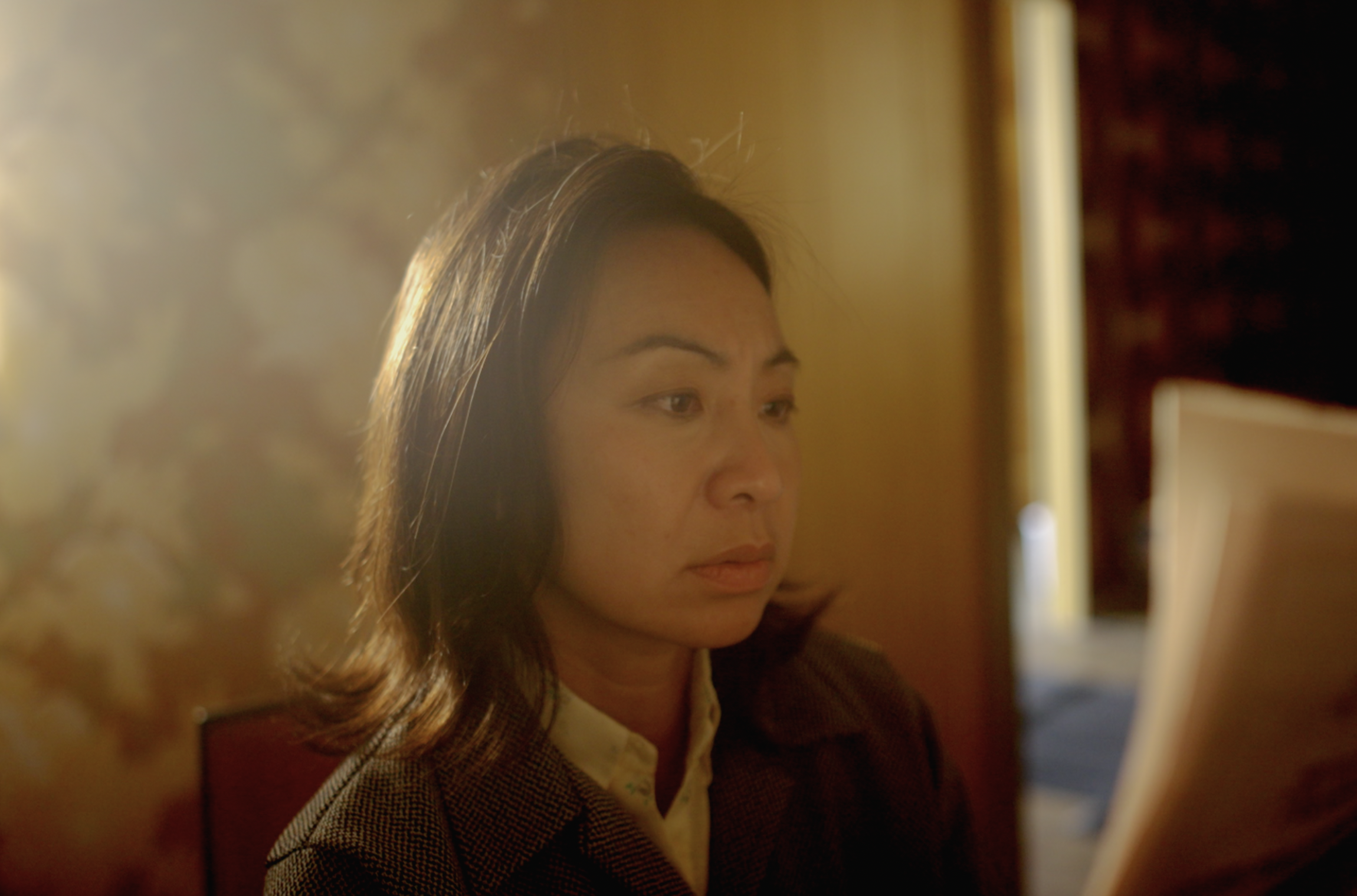 A woman with shoulder-length dark hair looking at a computer screen, with sunlight coming from the left side.