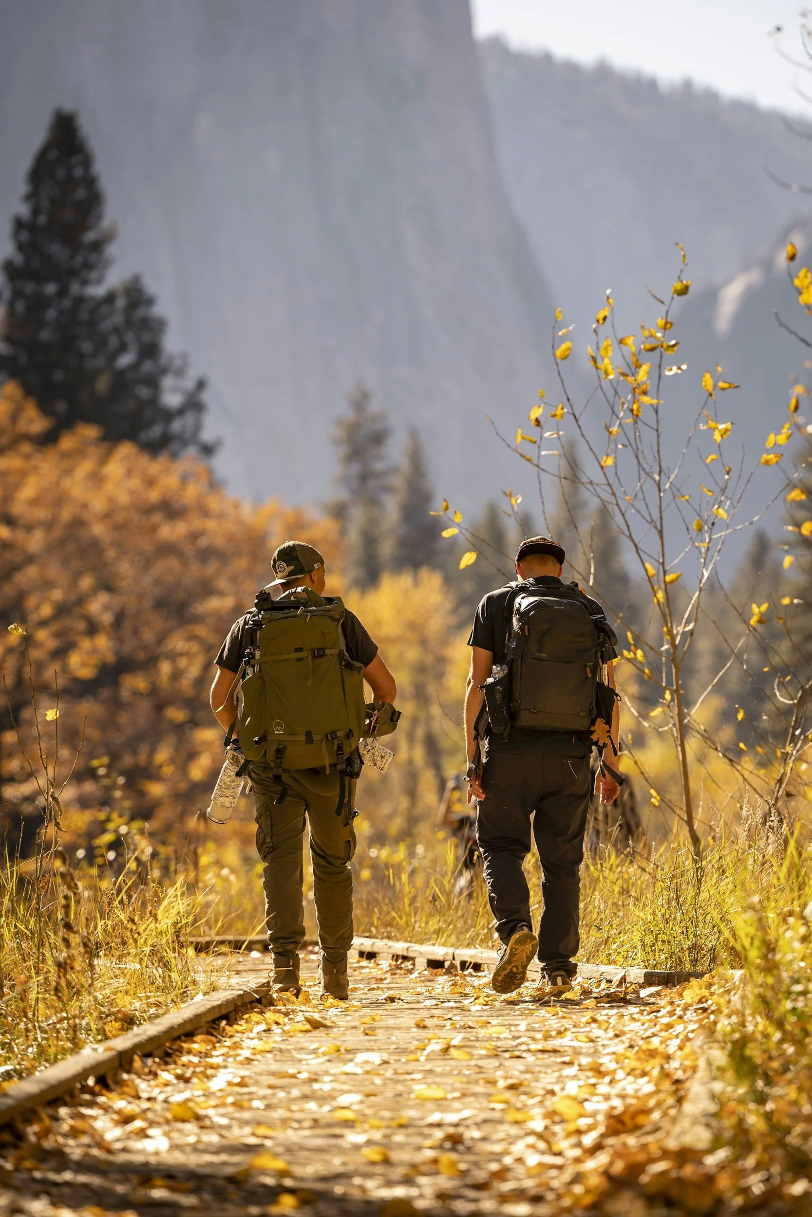 Two hikers walking on a forest trail with fall foliage, mountains in the background, and yellow leaves on the trees and ground.