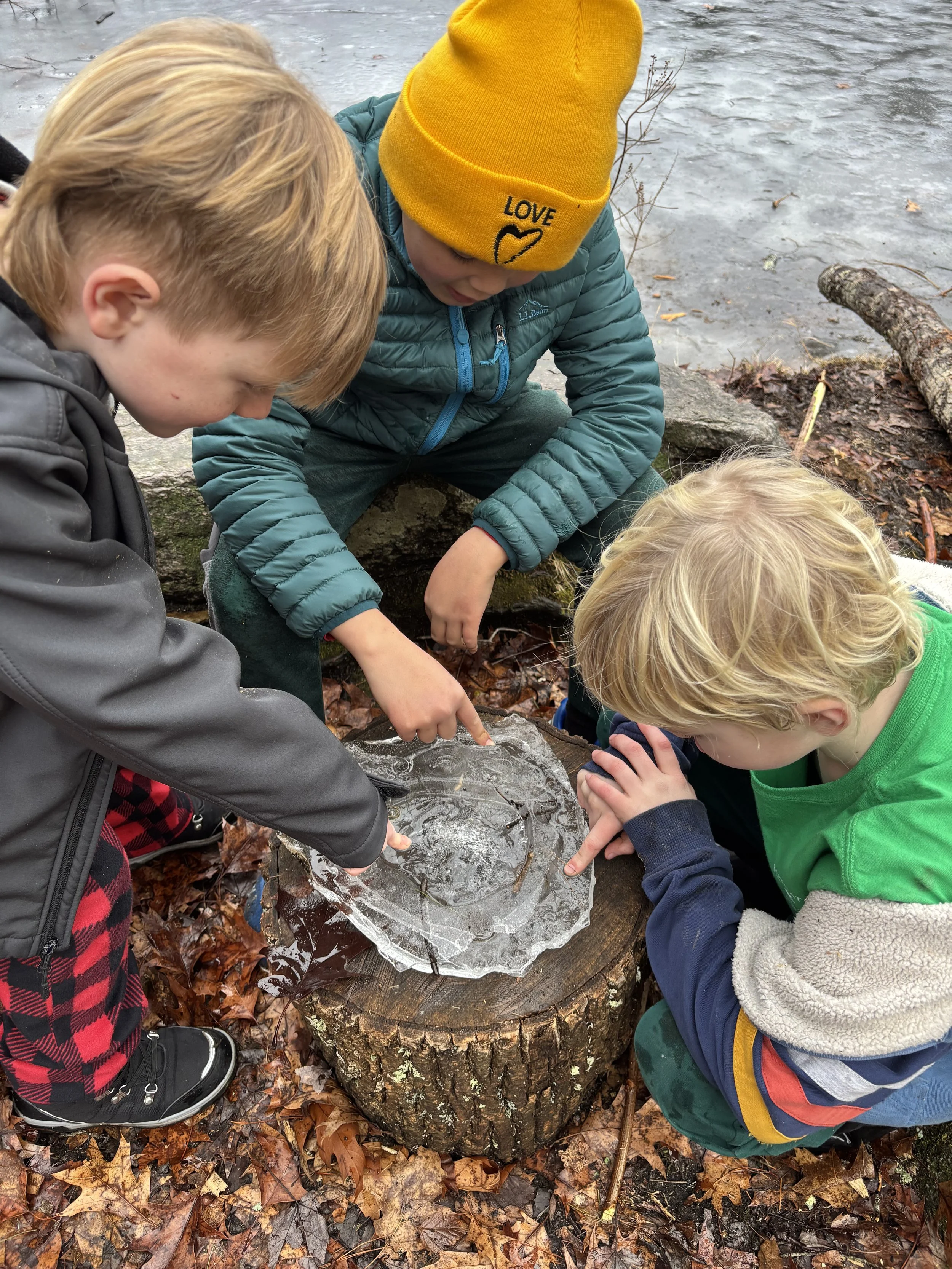 Three children stand outdoors among fallen leaves near a frozen pond and explore a large piece of ice together.
