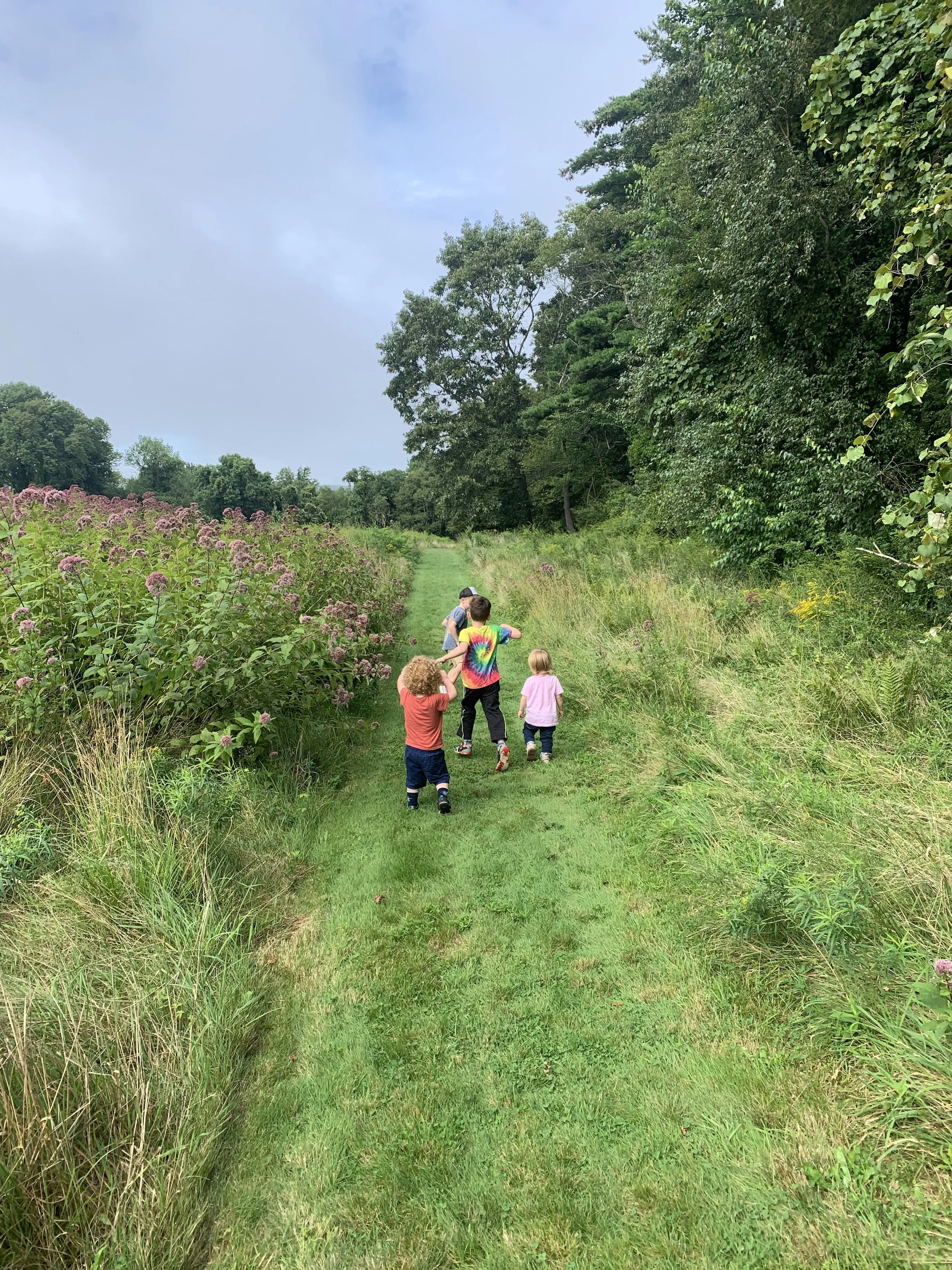 Children walk down a path cut through a flowering, green meadow.