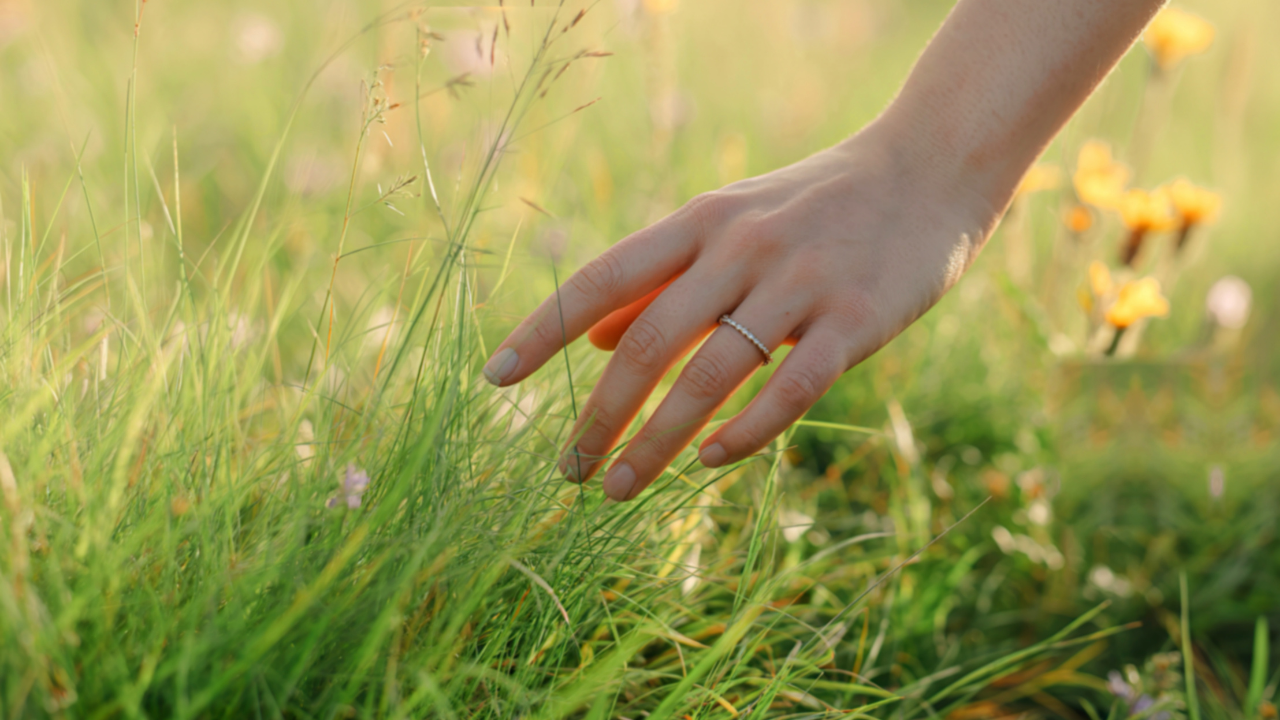 Touching grass as a somatic practice 🌱