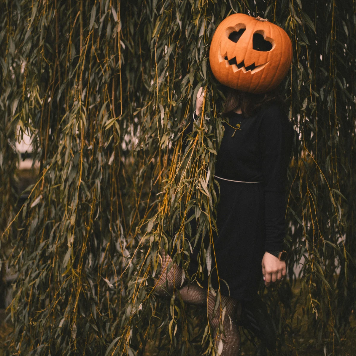 Spooky Season got you feeling SAD?🎃 It might be Season Affective Disorder.&nbsp;