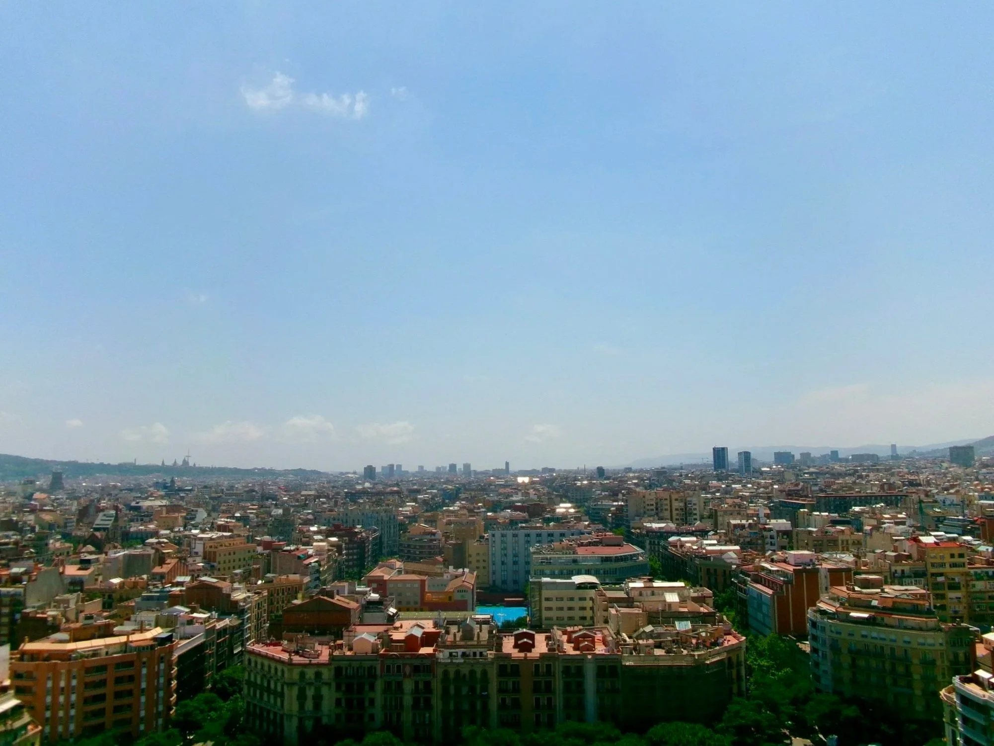 137606EB-77E7-42B6-9418-F3043DC558CA_1_102_a.jpg