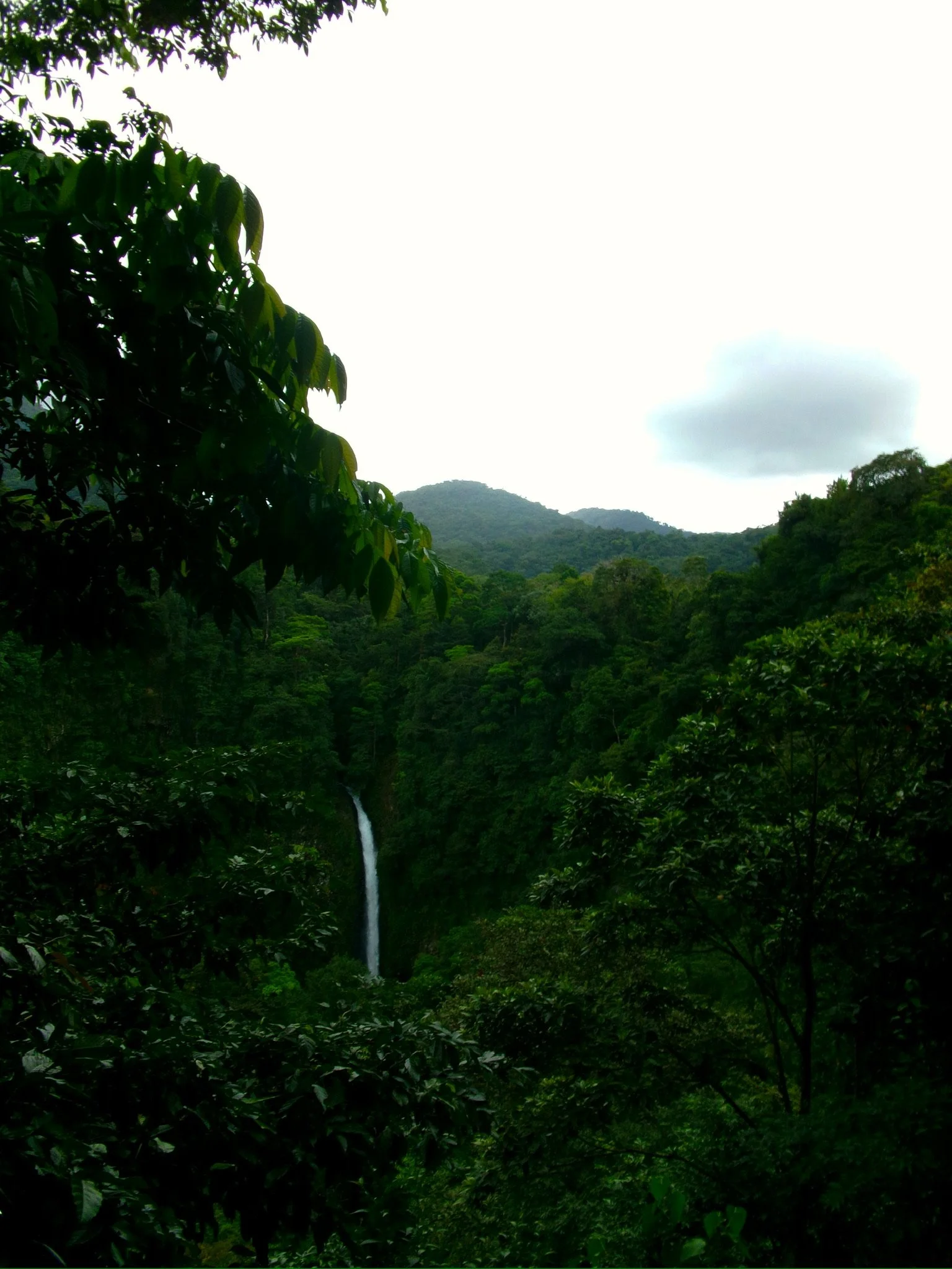462B0587-5C69-44F5-BF48-AA3EBC60F366_1_102_o.jpeg