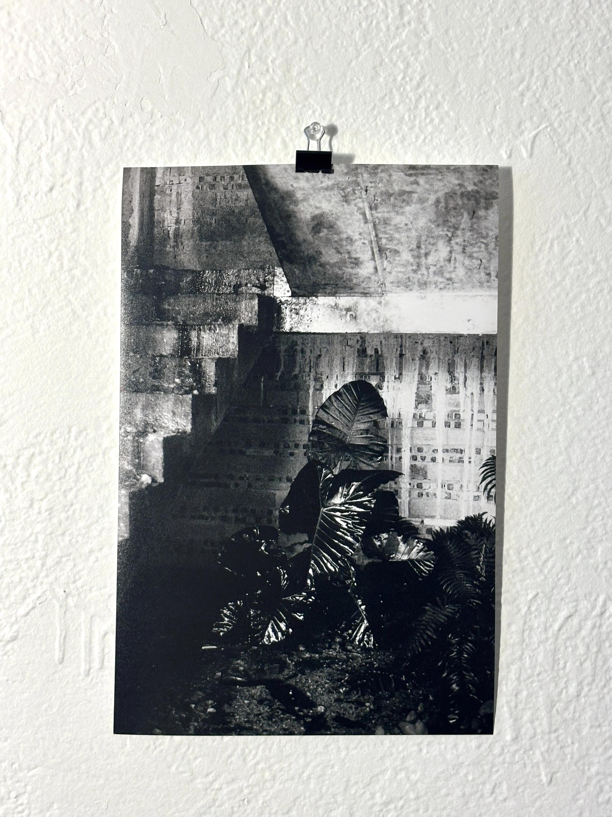 8x12 Surviving at What Cost?