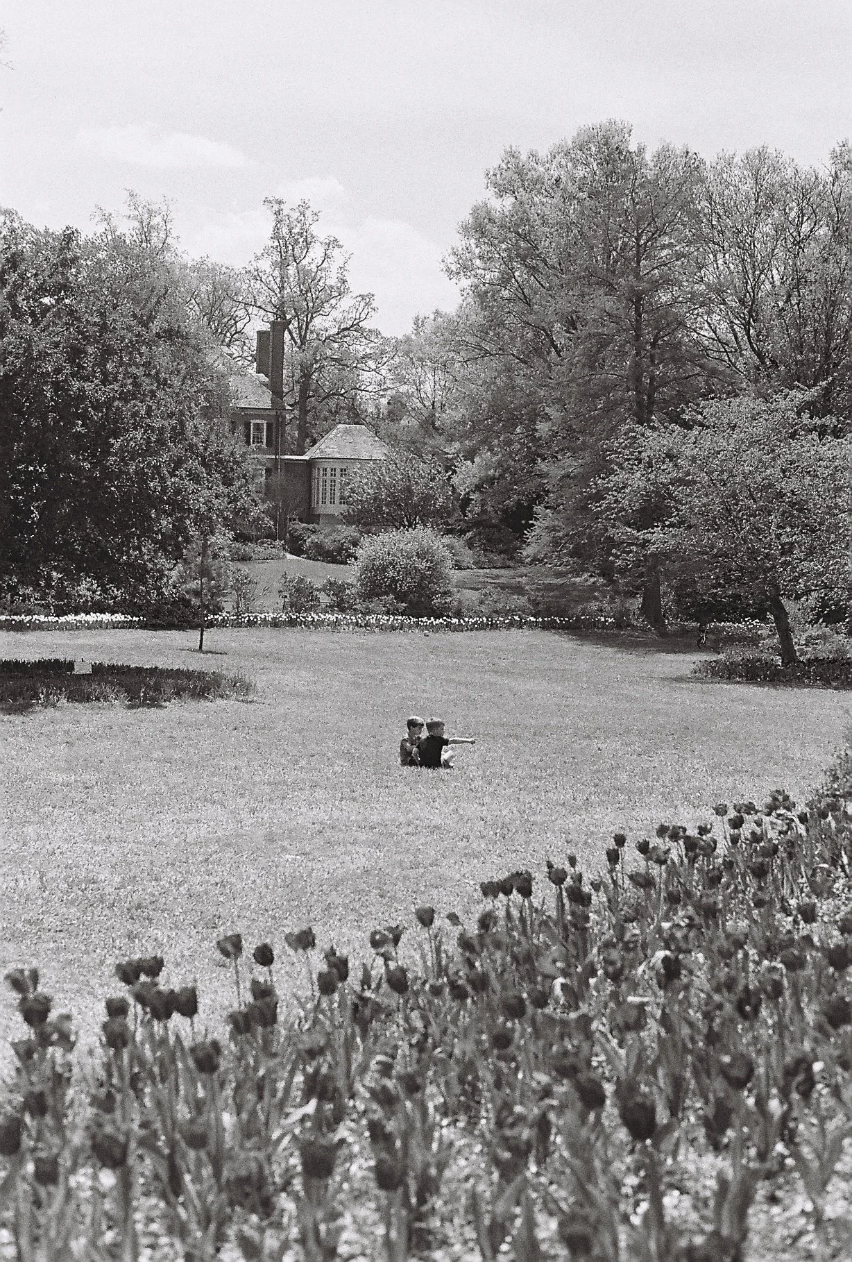 Sherwood Gardens - Baltimore, Maryland - April 2025.