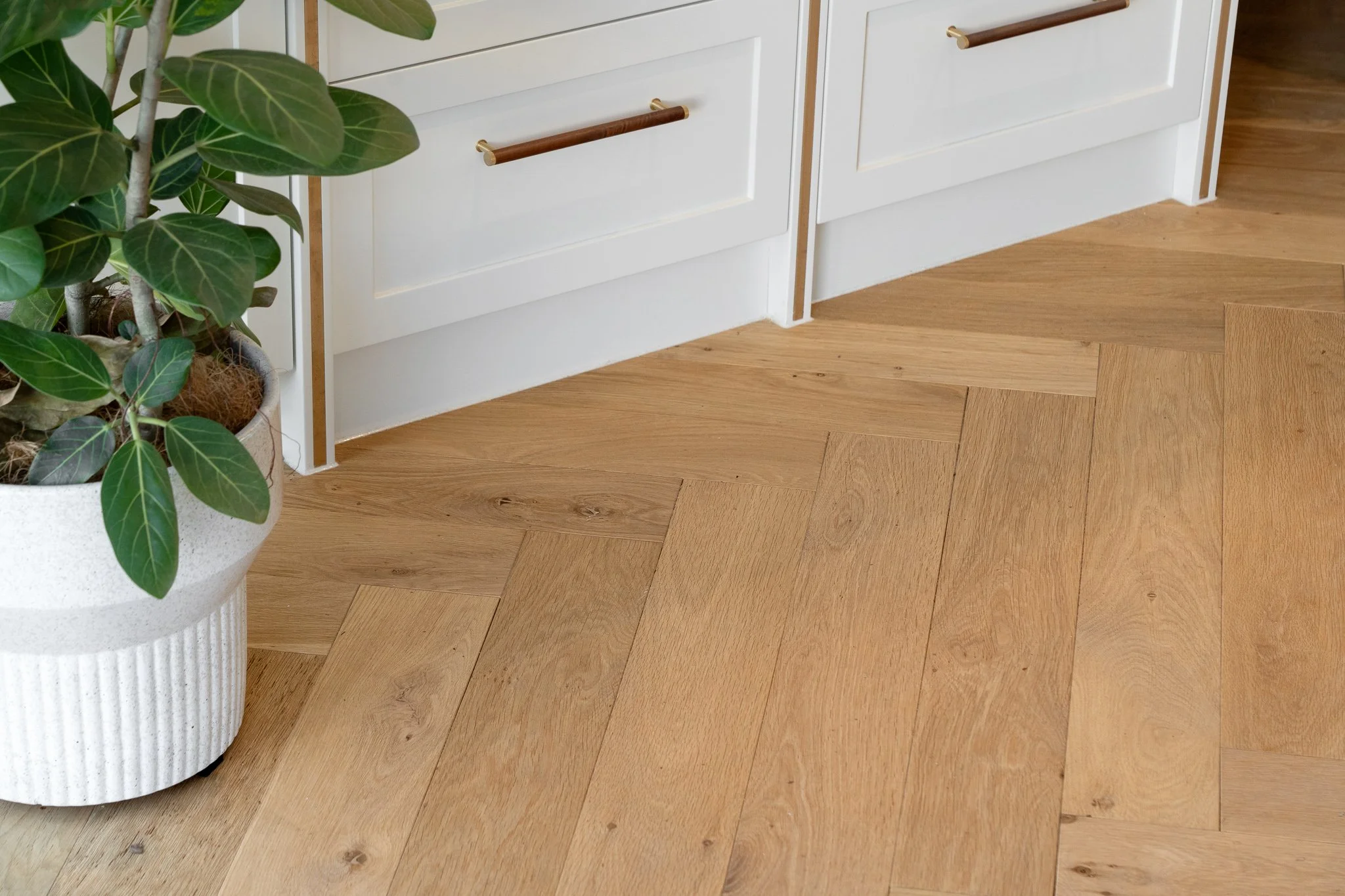 A potted plant with green leaves on a wooden floor next to a white cabinet with wooden and gold handles.