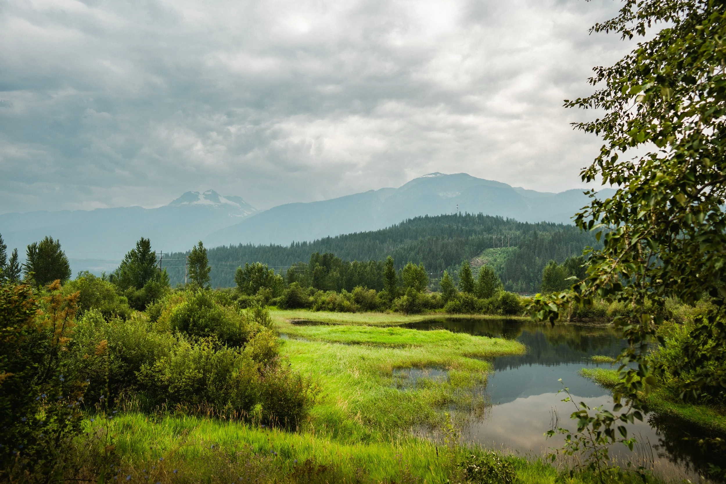 Revelstoke Historic Park Walk - 9