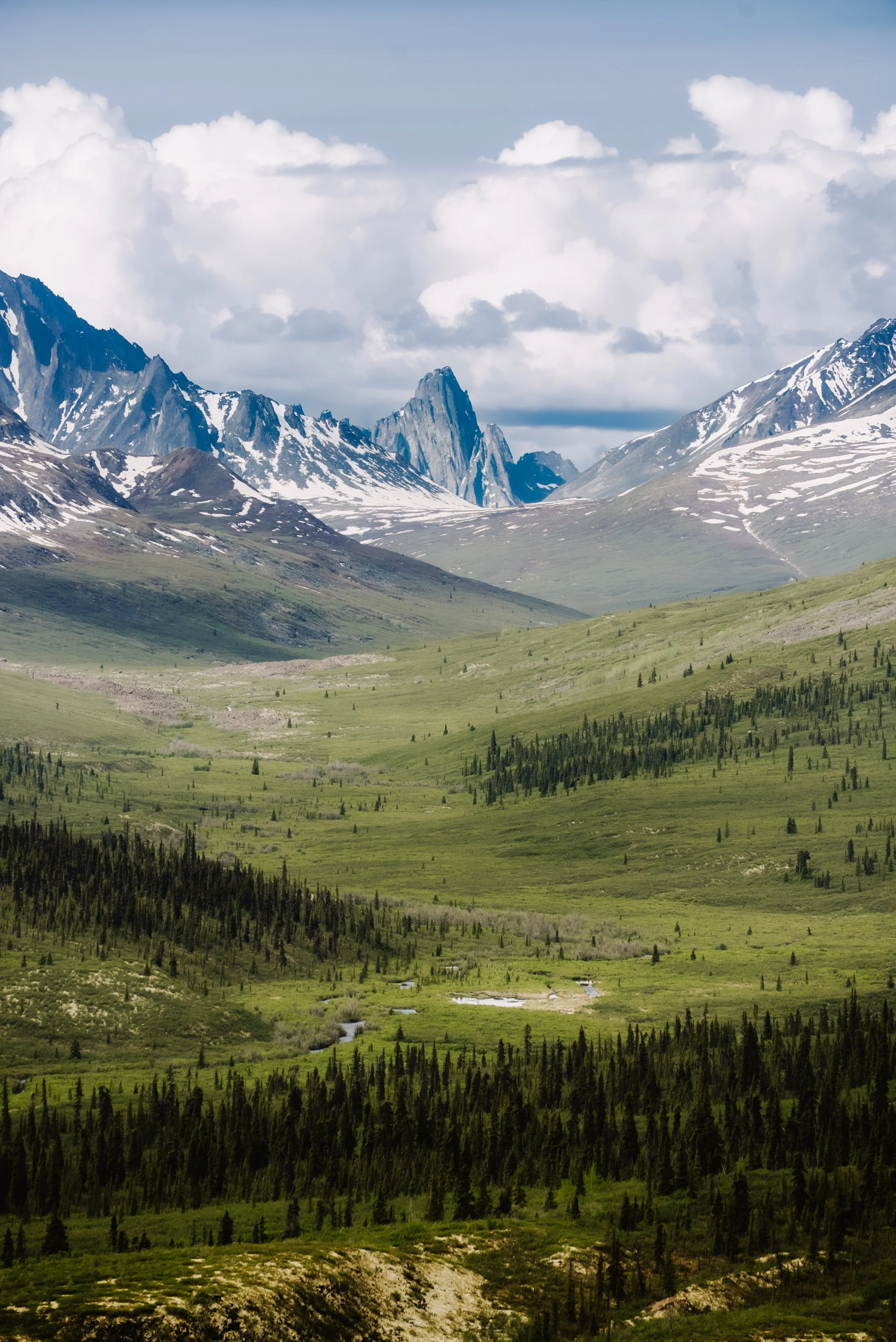 Kluane - 20