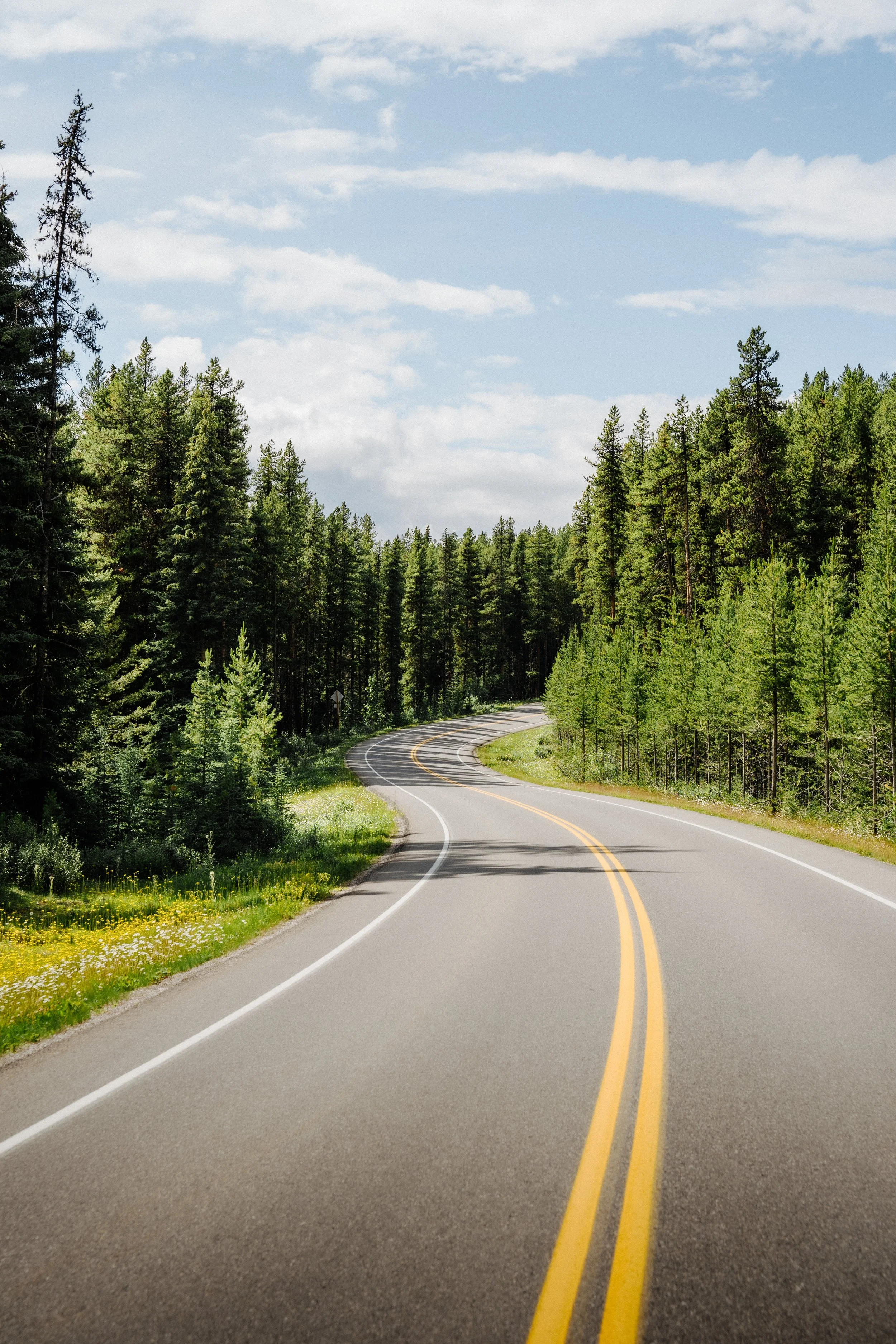 Bow Valley Parkway Highway 3