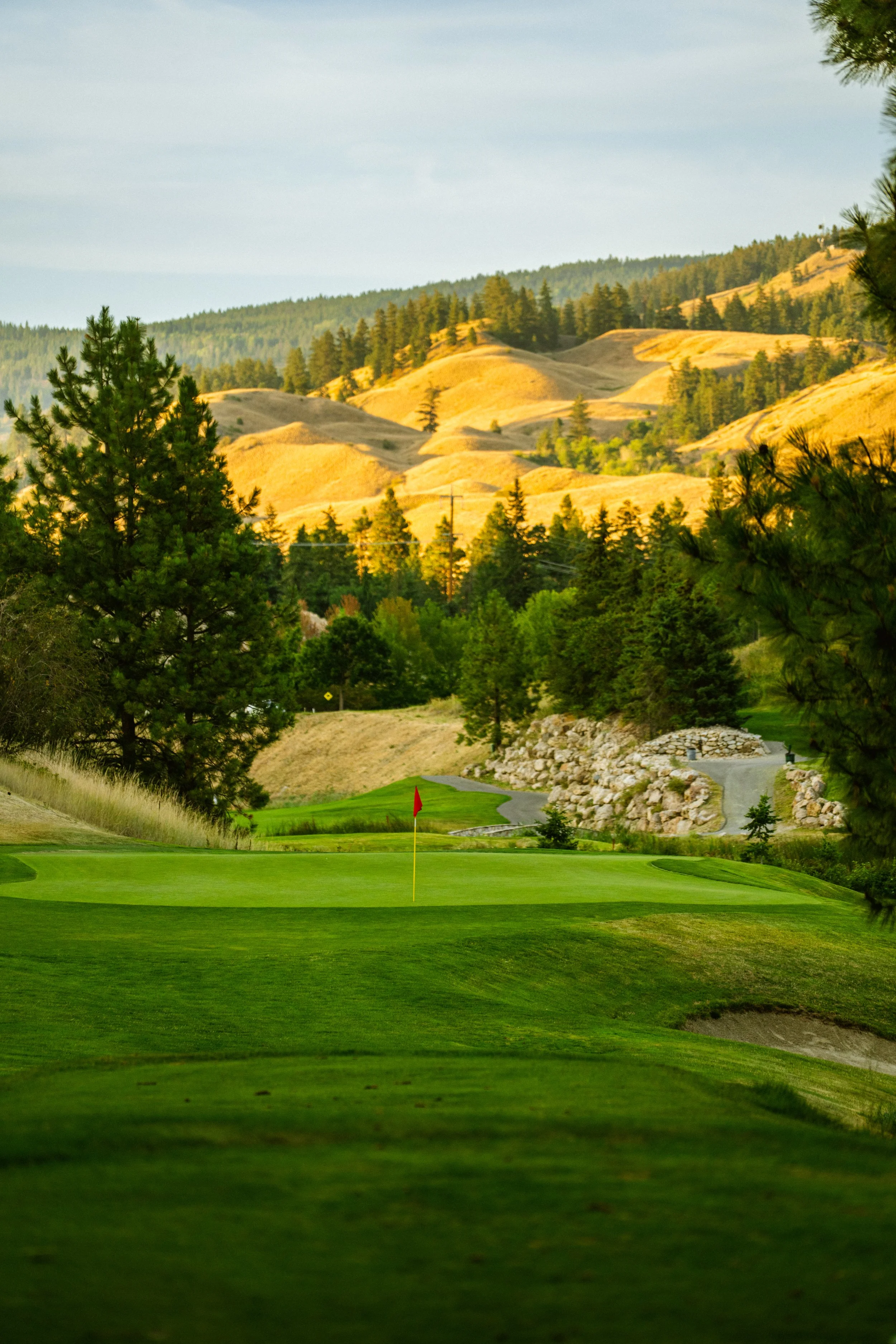 Black Mountain Golf - 8