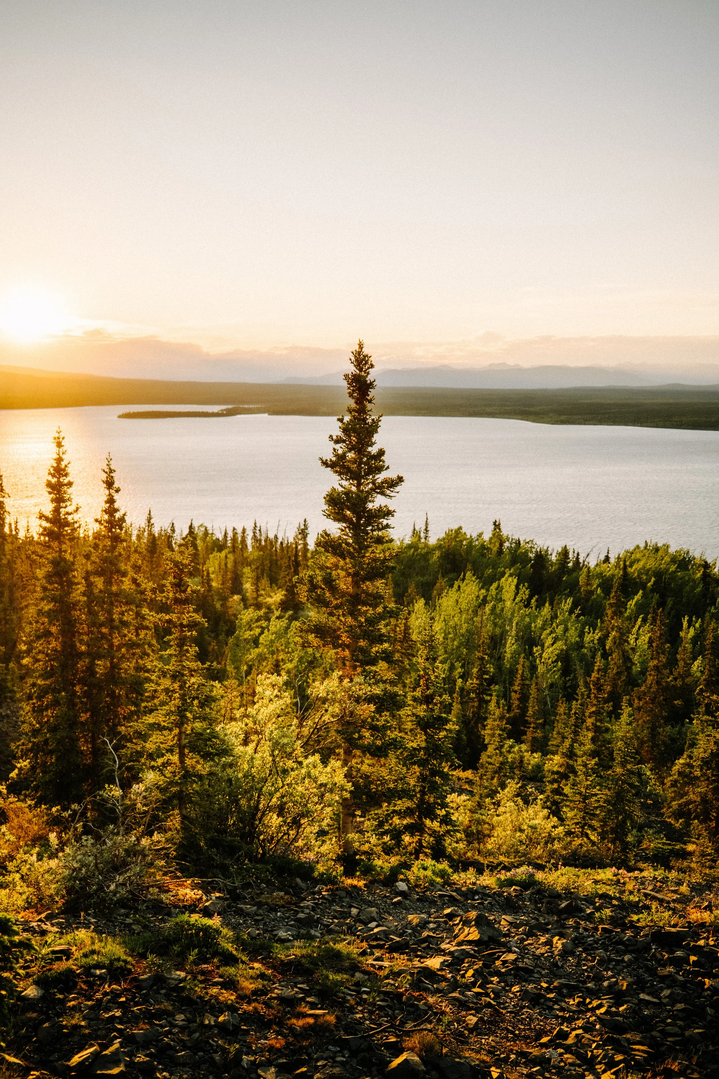 Kluane - 11
