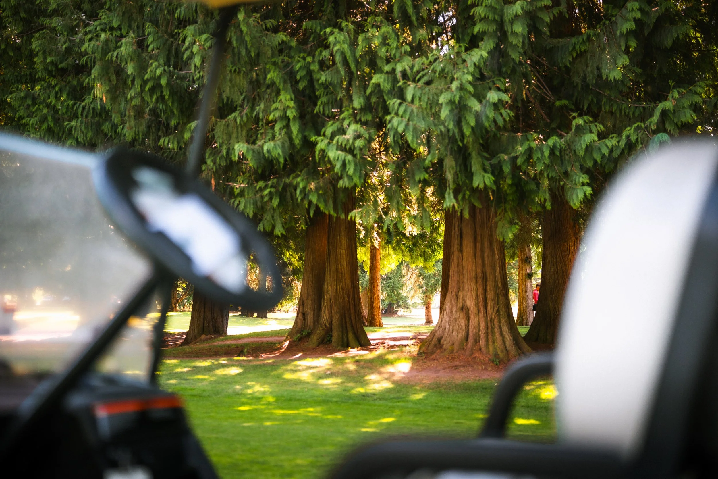 Revelstoke Golf Club - 5
