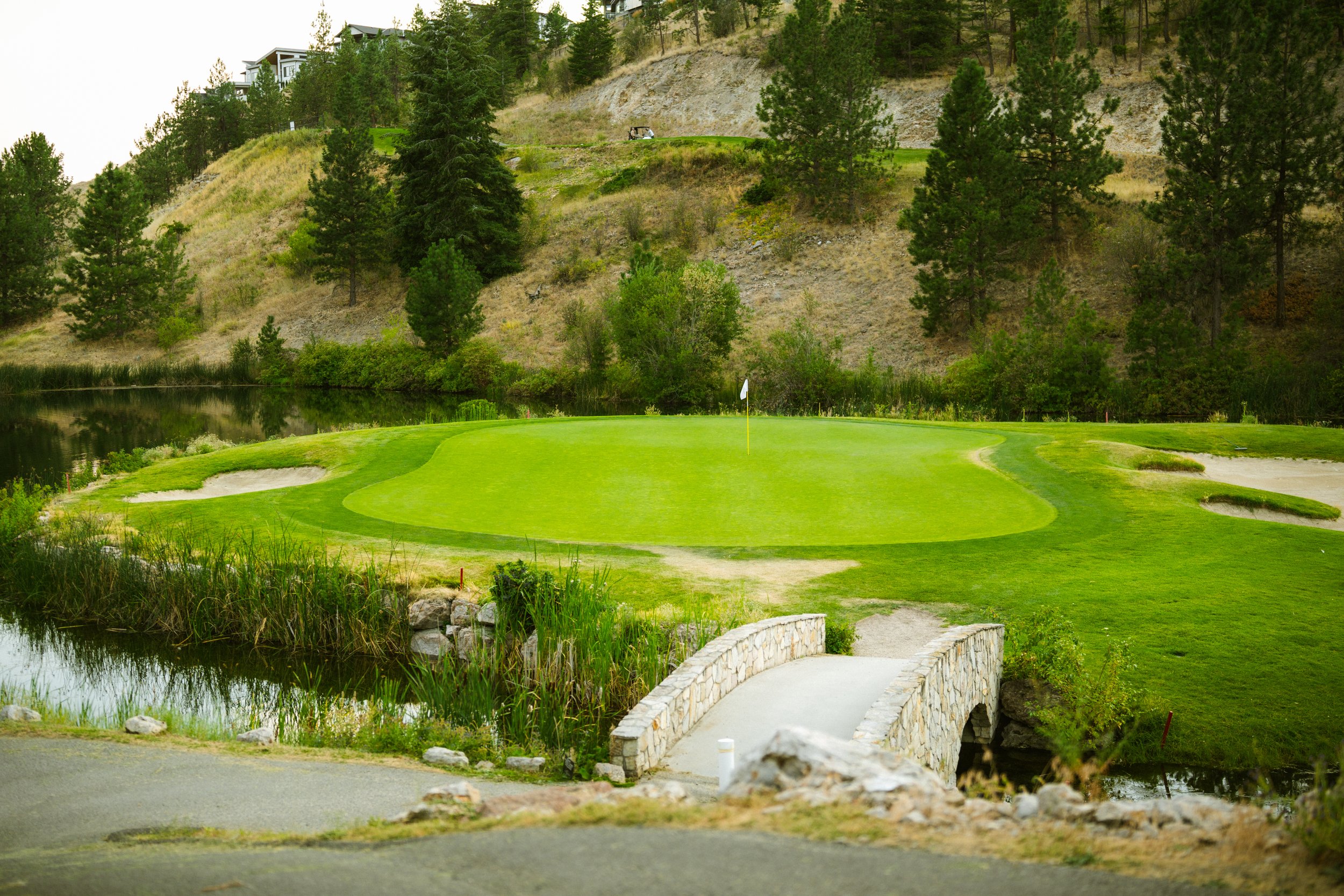 Black Mountain Golf - 6