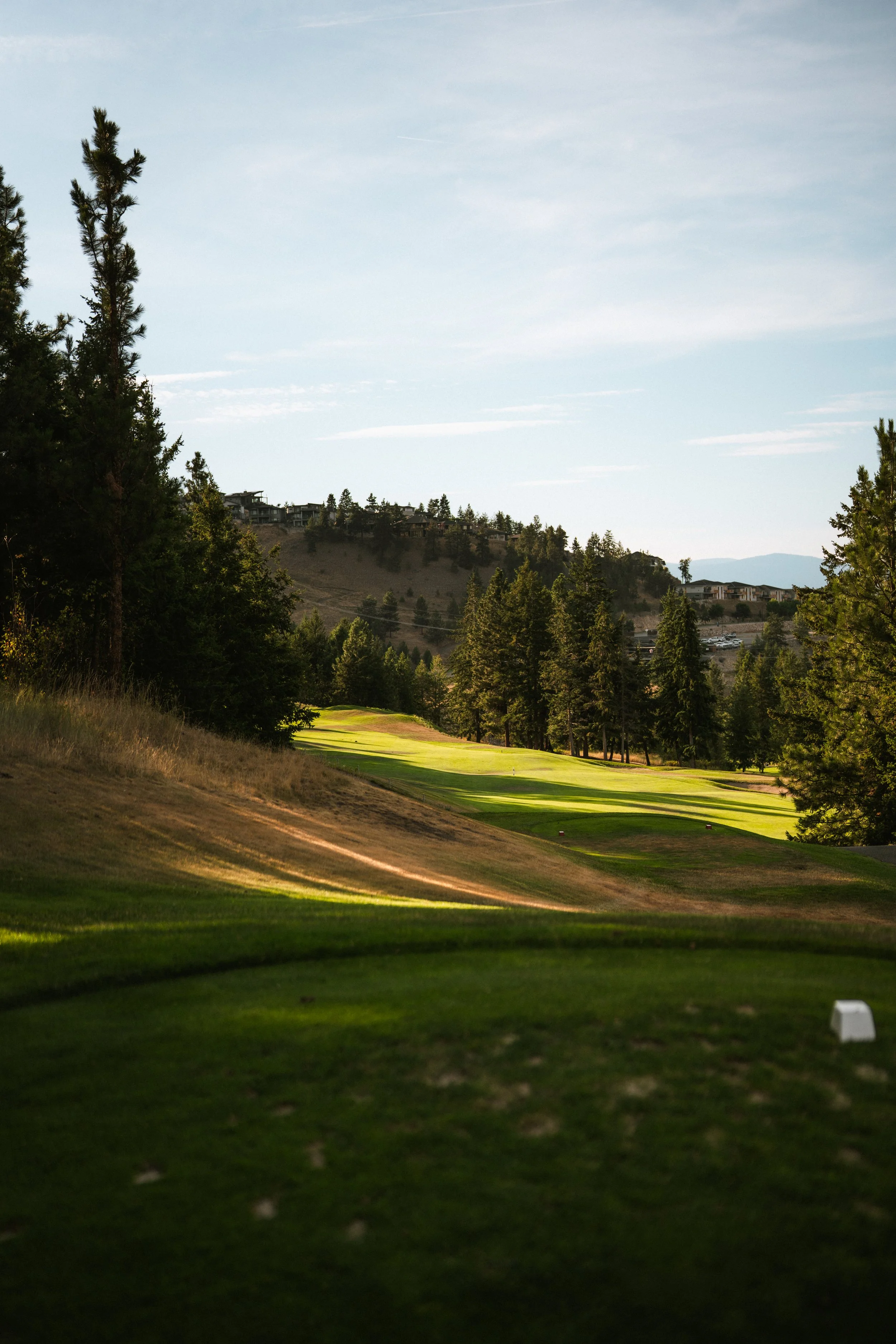 Black Mountain Golf - 3