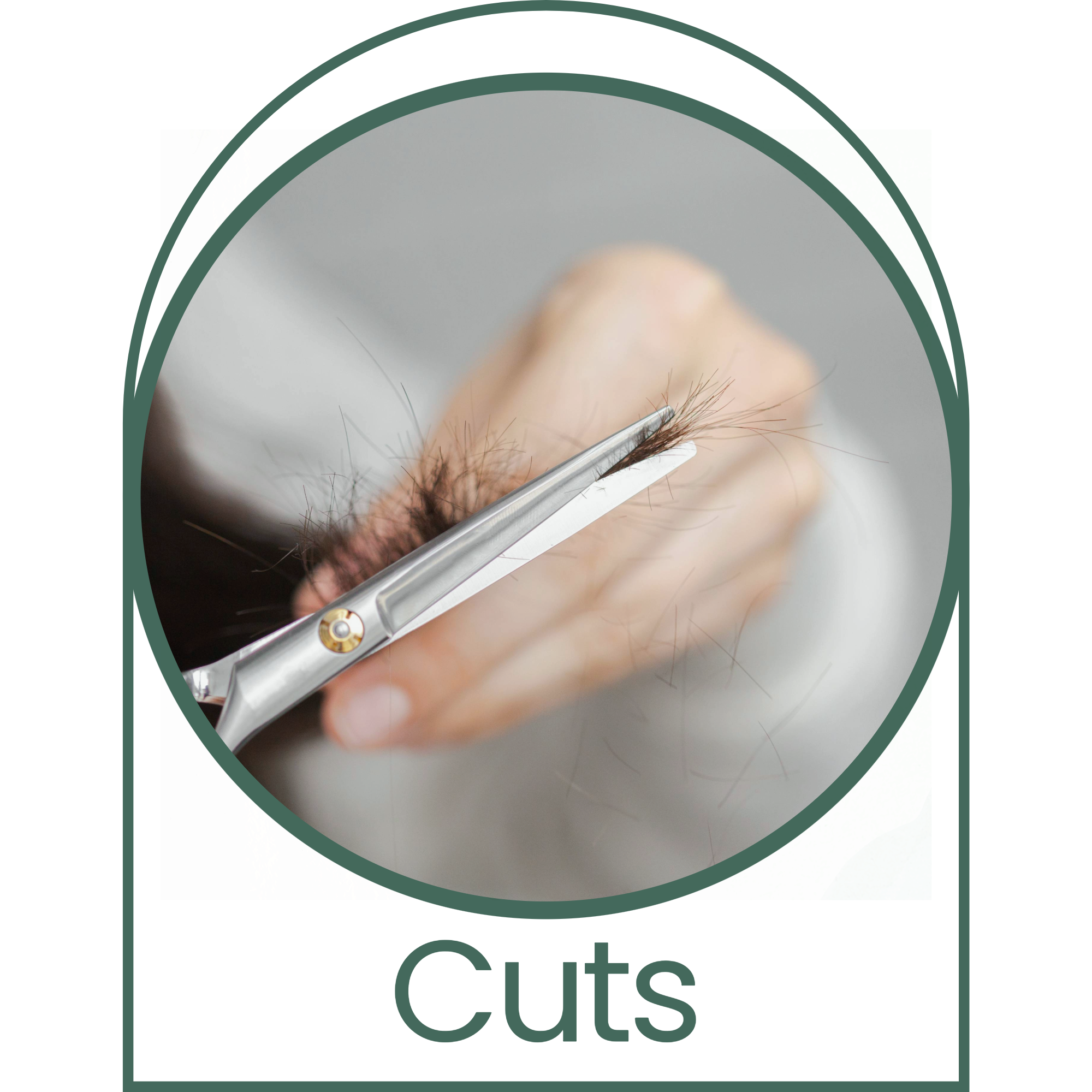 Close-up of a person trimming hair with silver shears on a grey background.