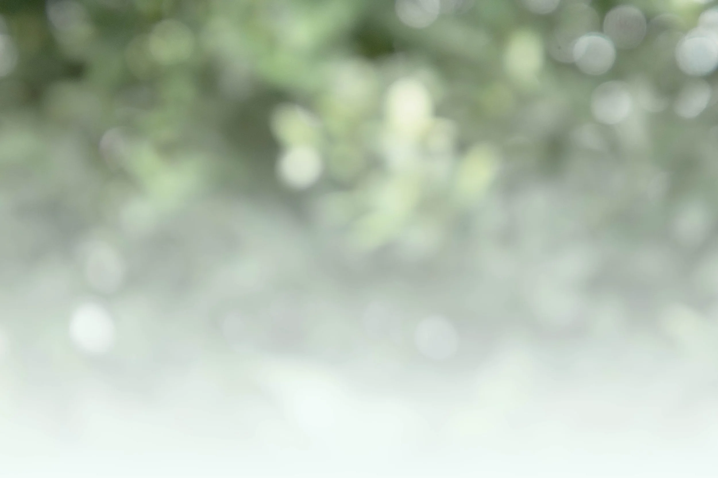 Blurred green and white abstract background with bokeh light effect.