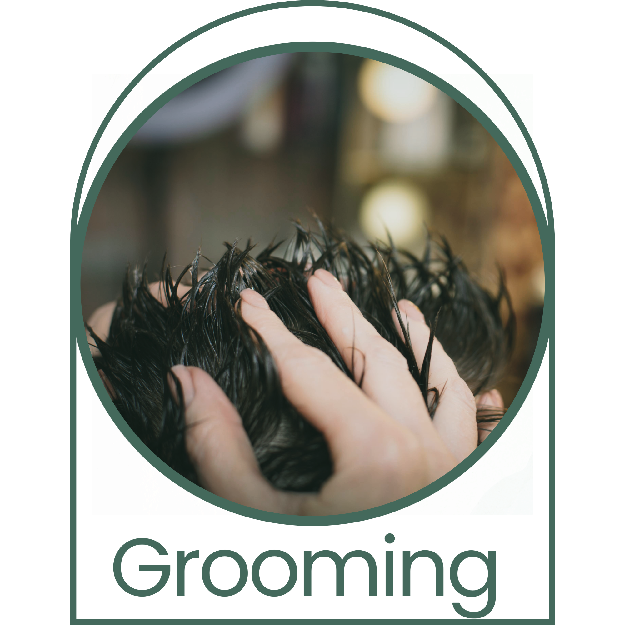 A person having their hair washed and massaged at a salon or grooming station.