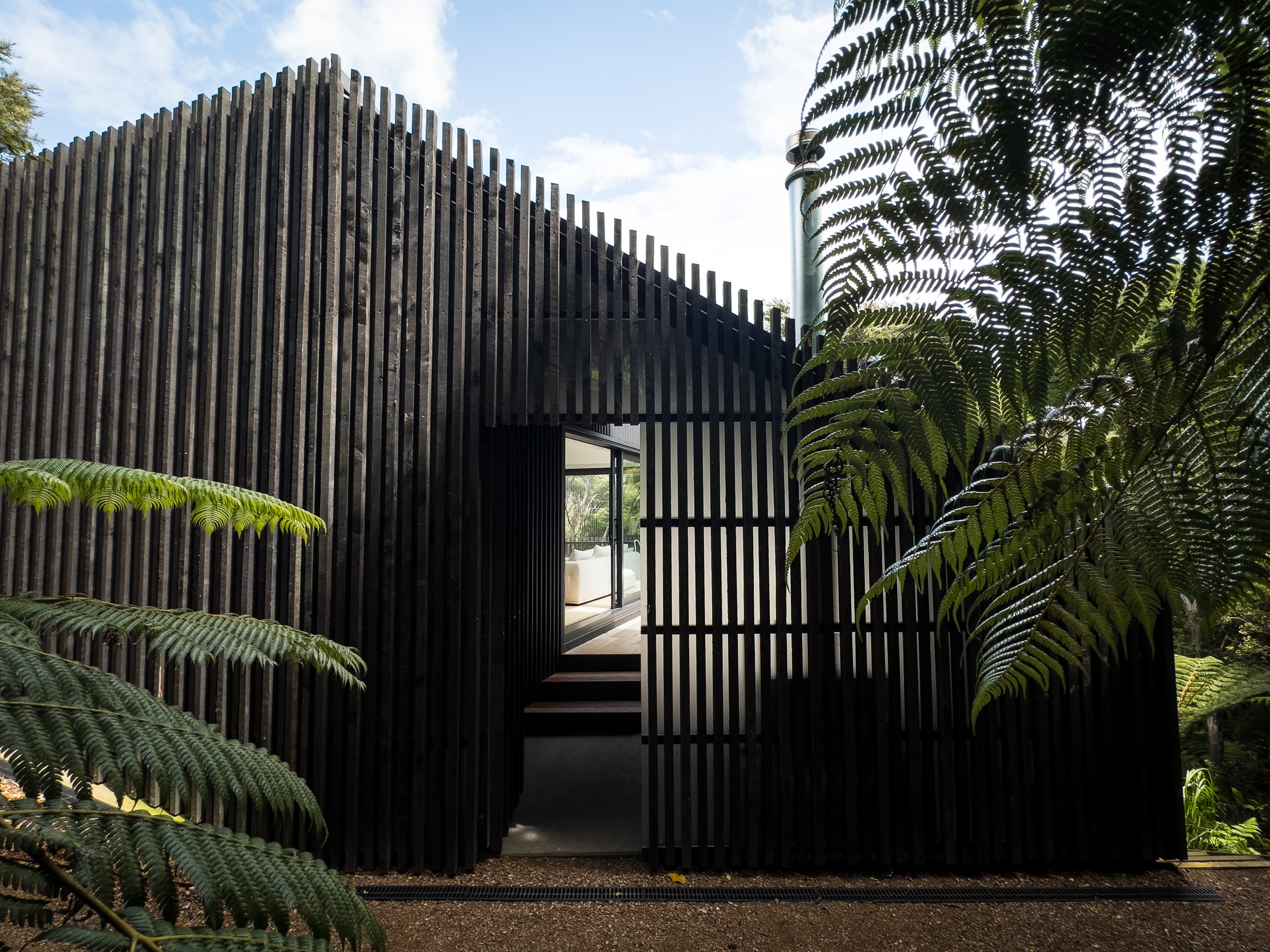 Modern house with black vertical wooden slats on exterior wall, surrounded by green fern plants, with blue sky and clouds in the background.