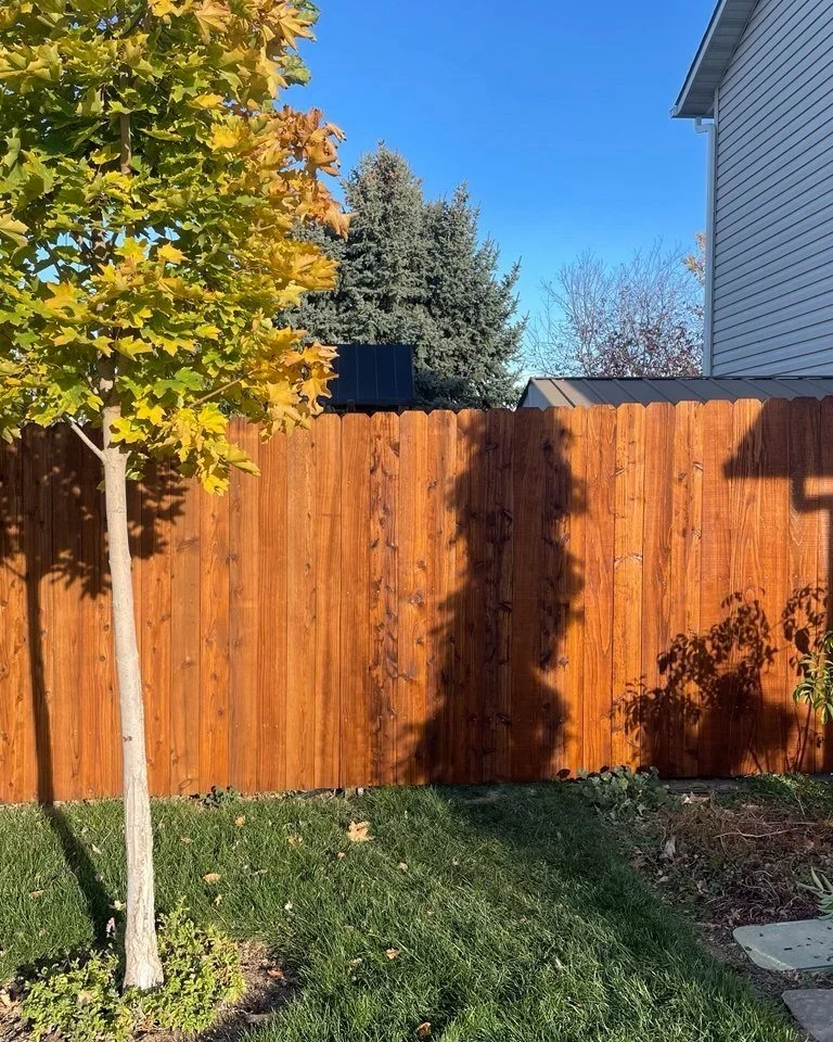 Cedar Fence