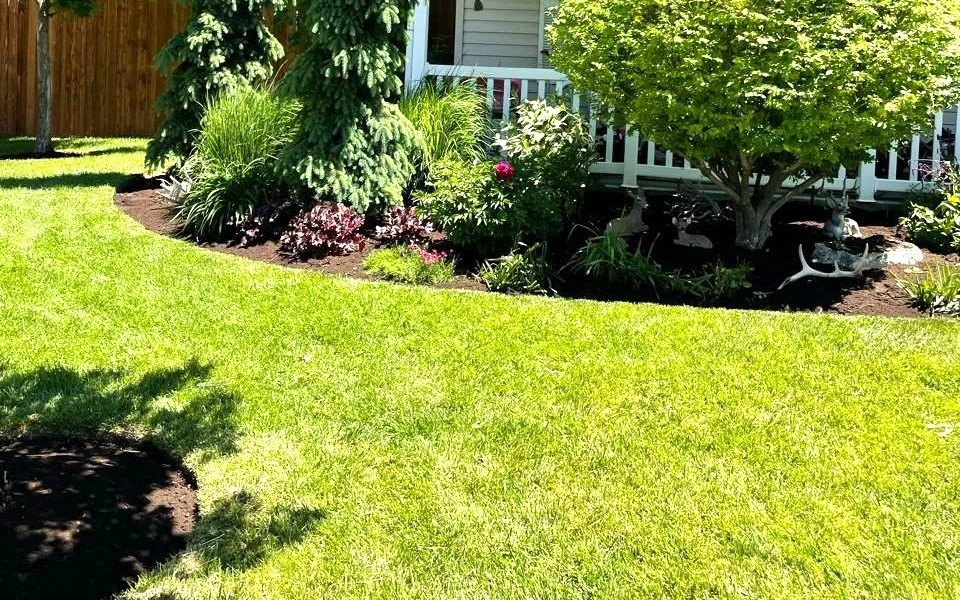 Oranssi carpenter using bench saw