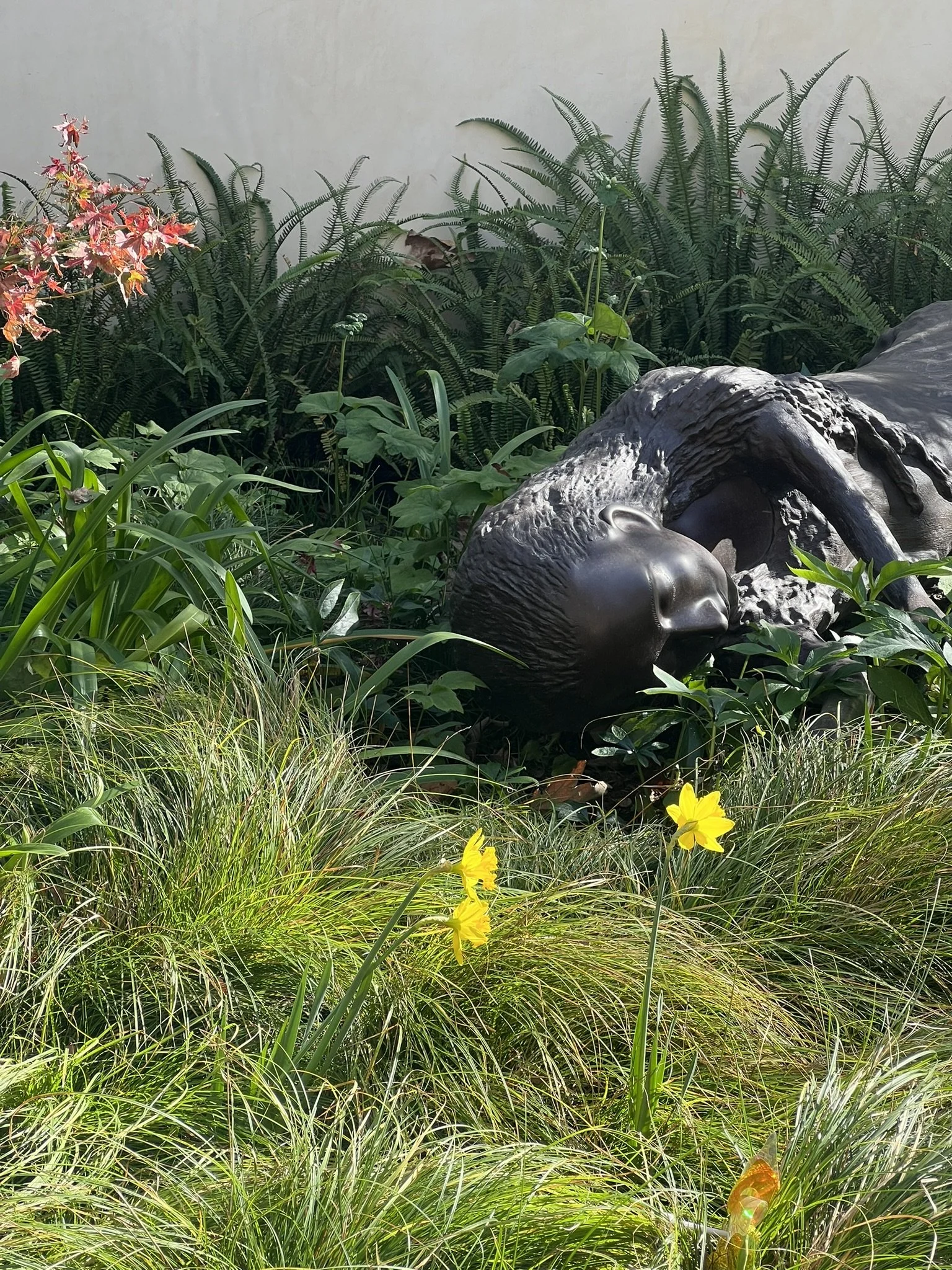IMG_1898.JPEG