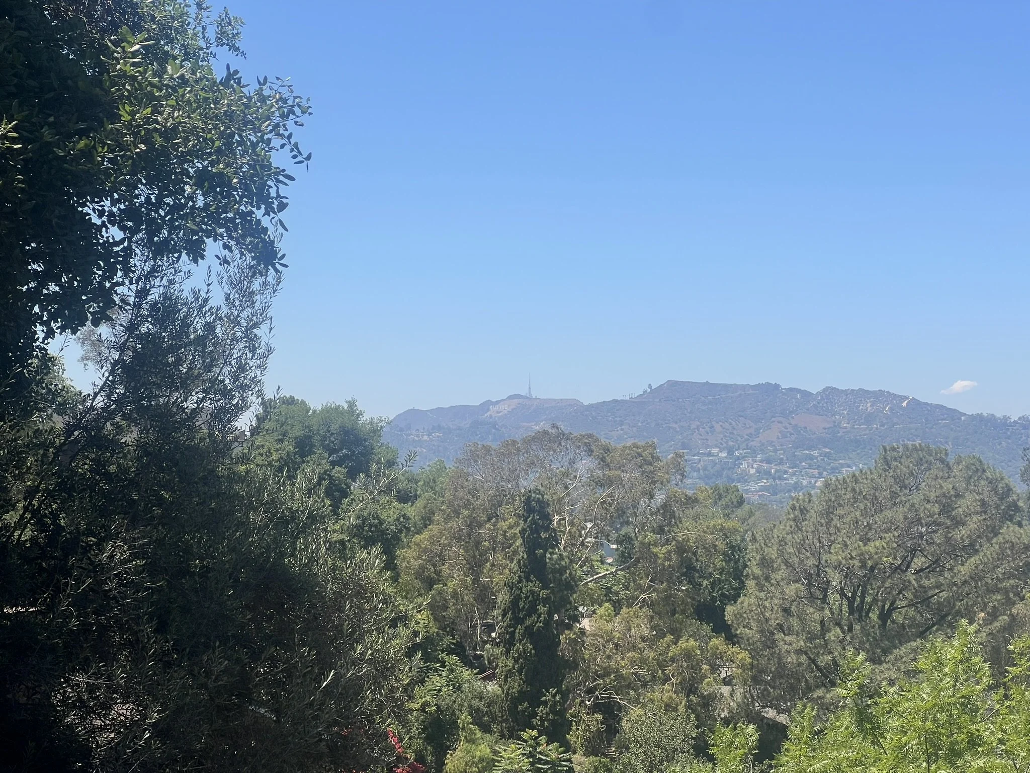 IMG_7308.JPEG
