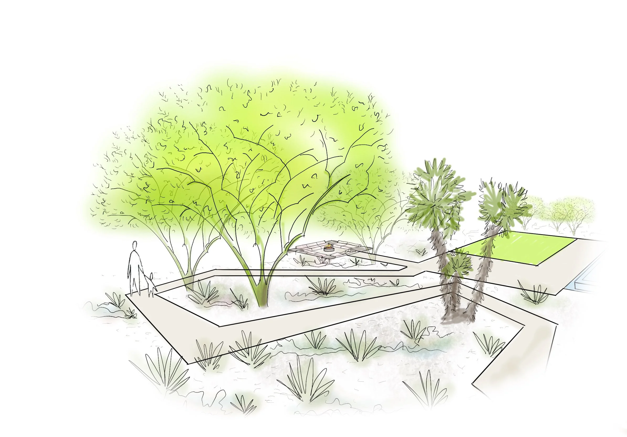 JOSHUATREE-vignette.JPG