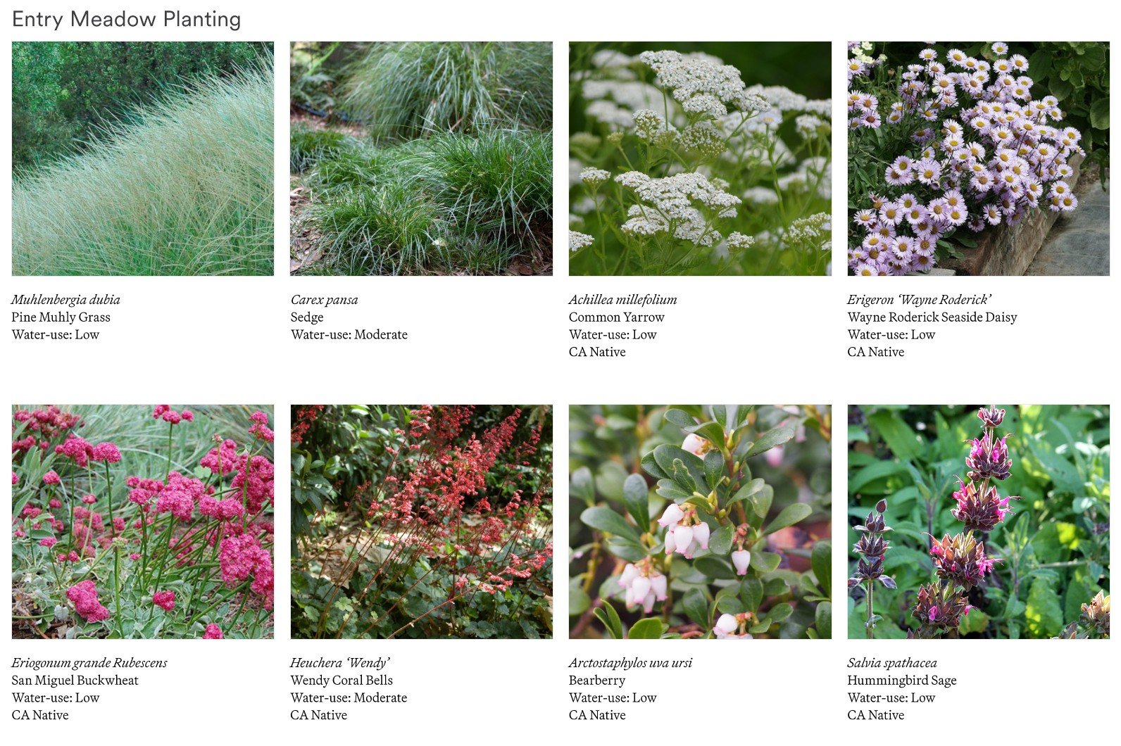 SONOMA-Plant Palette.jpg
