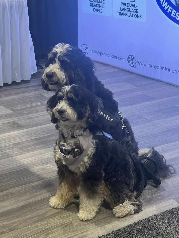 Screenshot 2026-02-24 at 11.01.36 AM.png