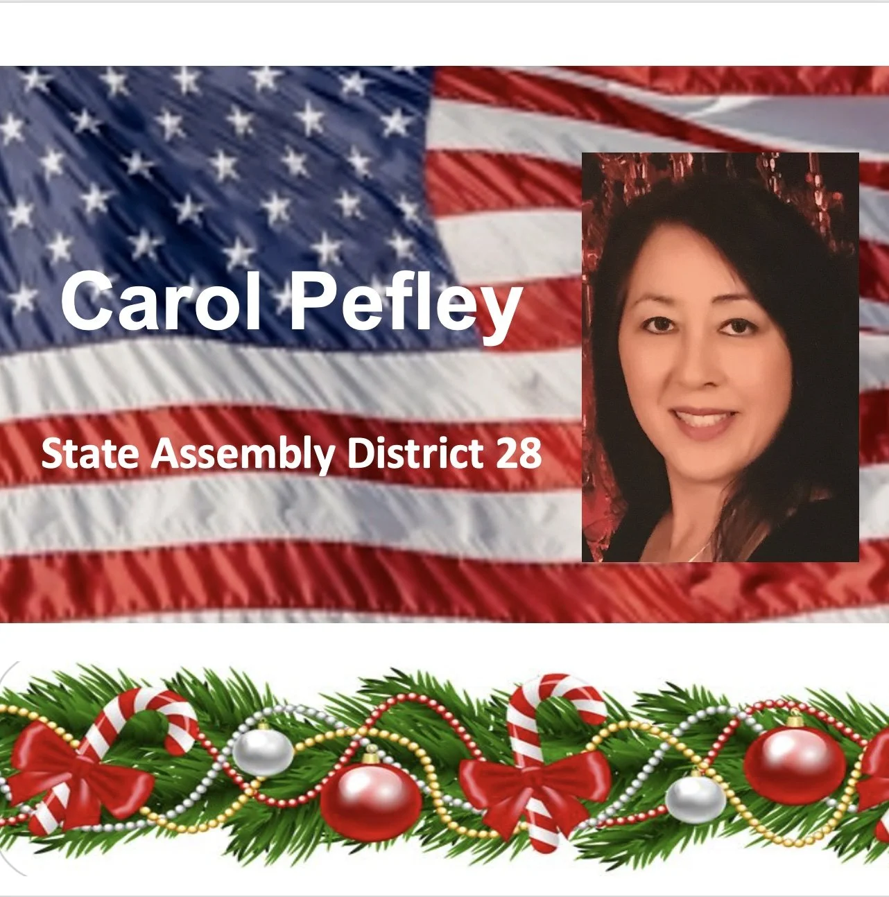 Carol Pefley sponsor.jpg