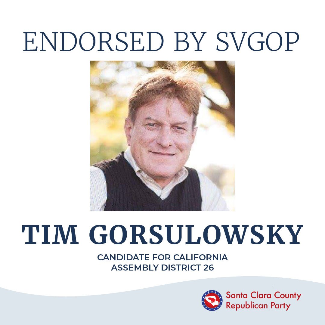 tim-gorsulowsky-1.jpg