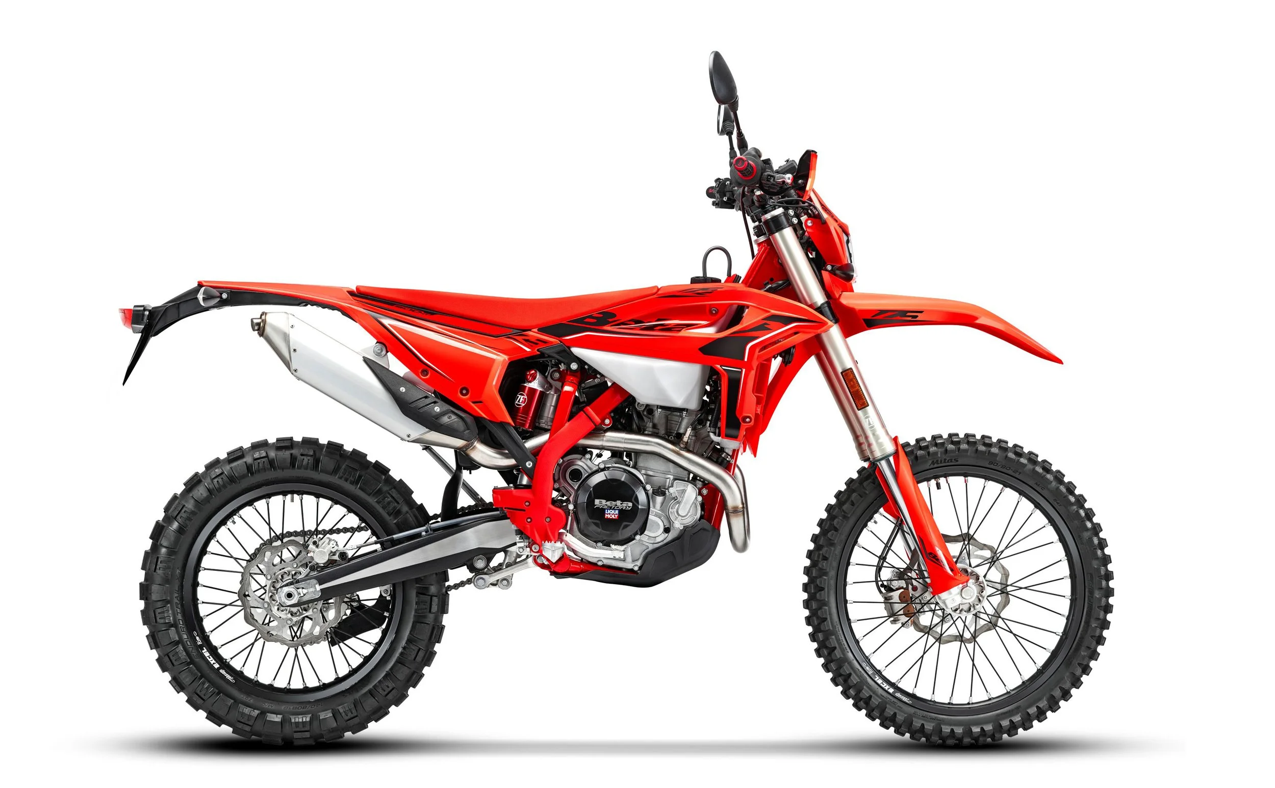 RS-My-2026-redtail-LR.jpg