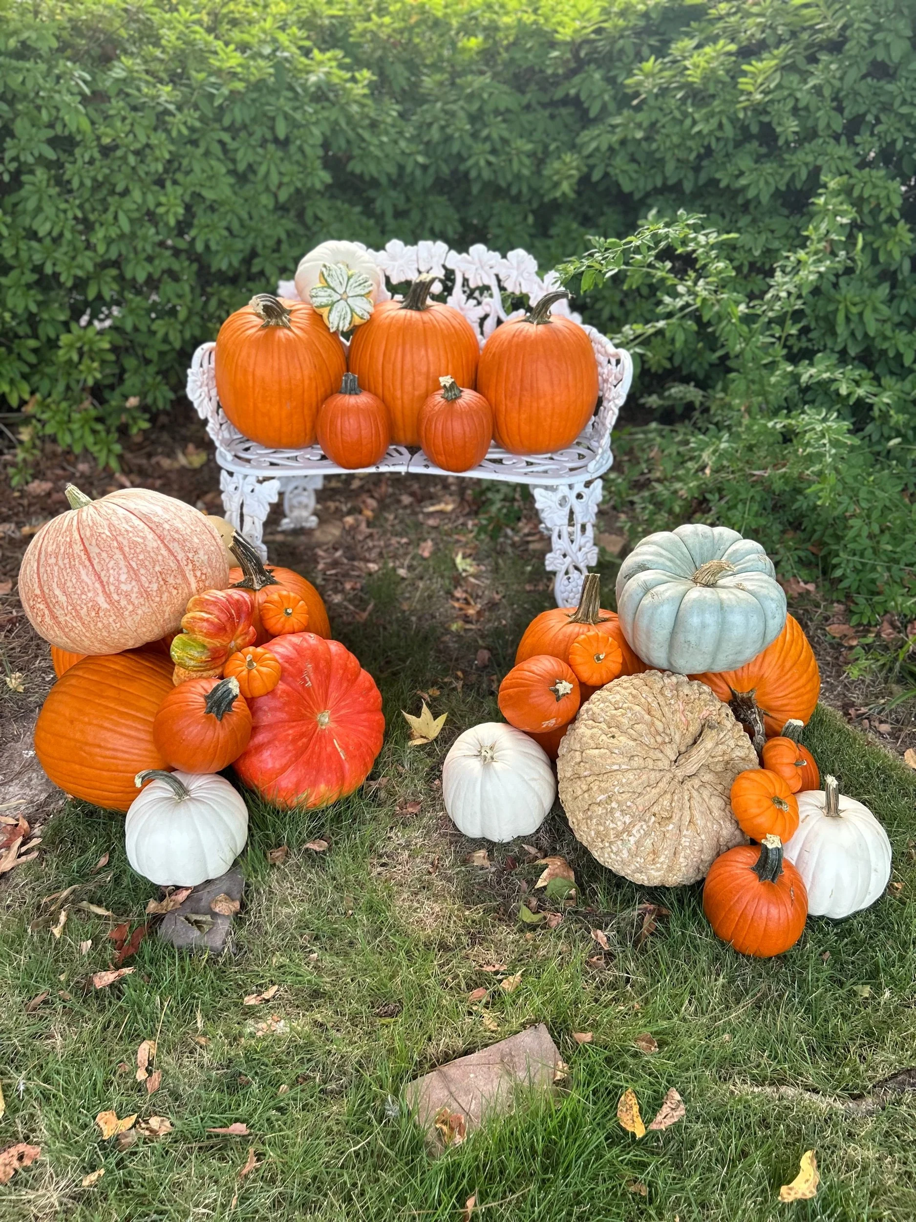 Enchanted Entryway Package