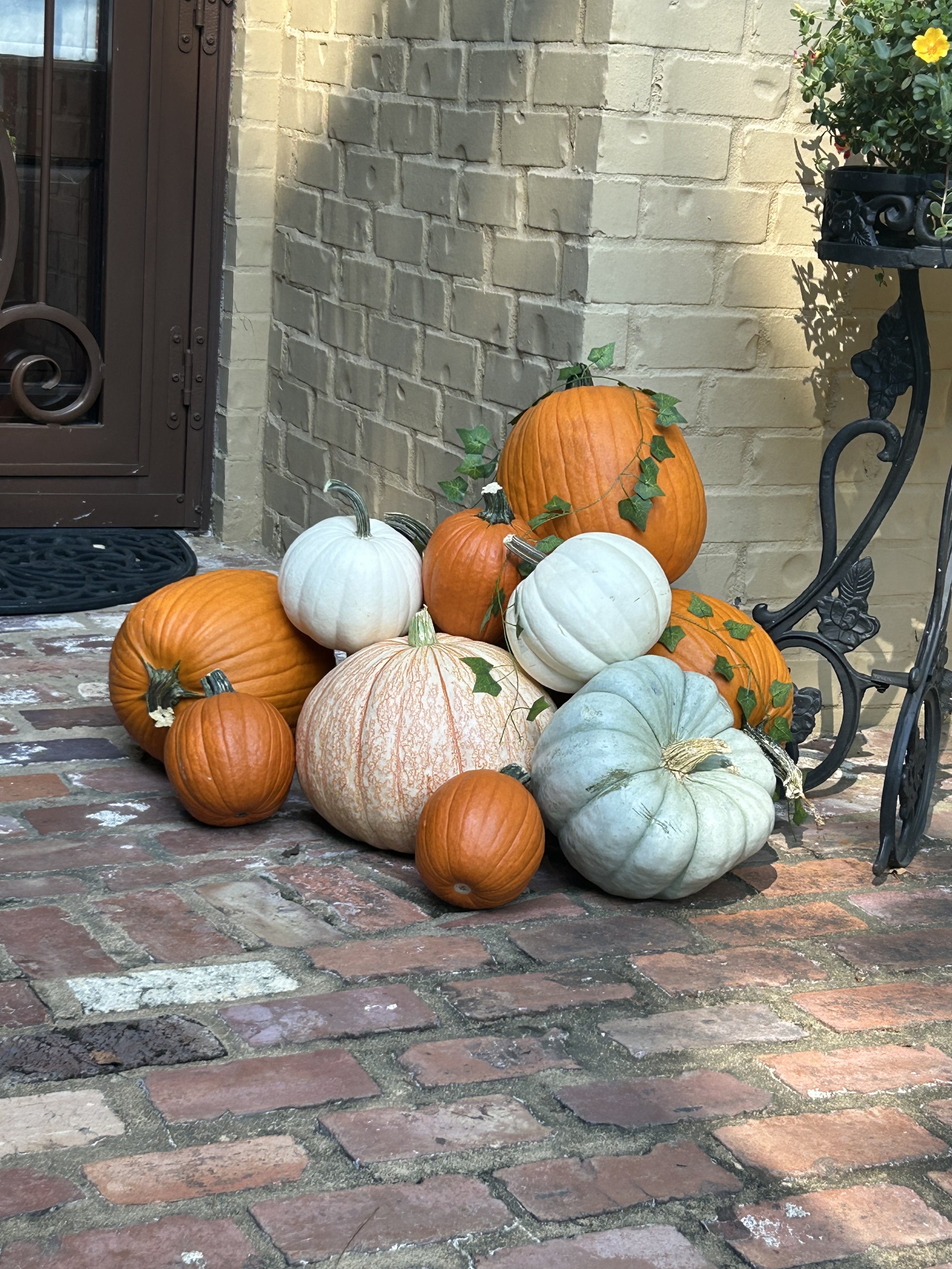 Whimsical Wonder Package