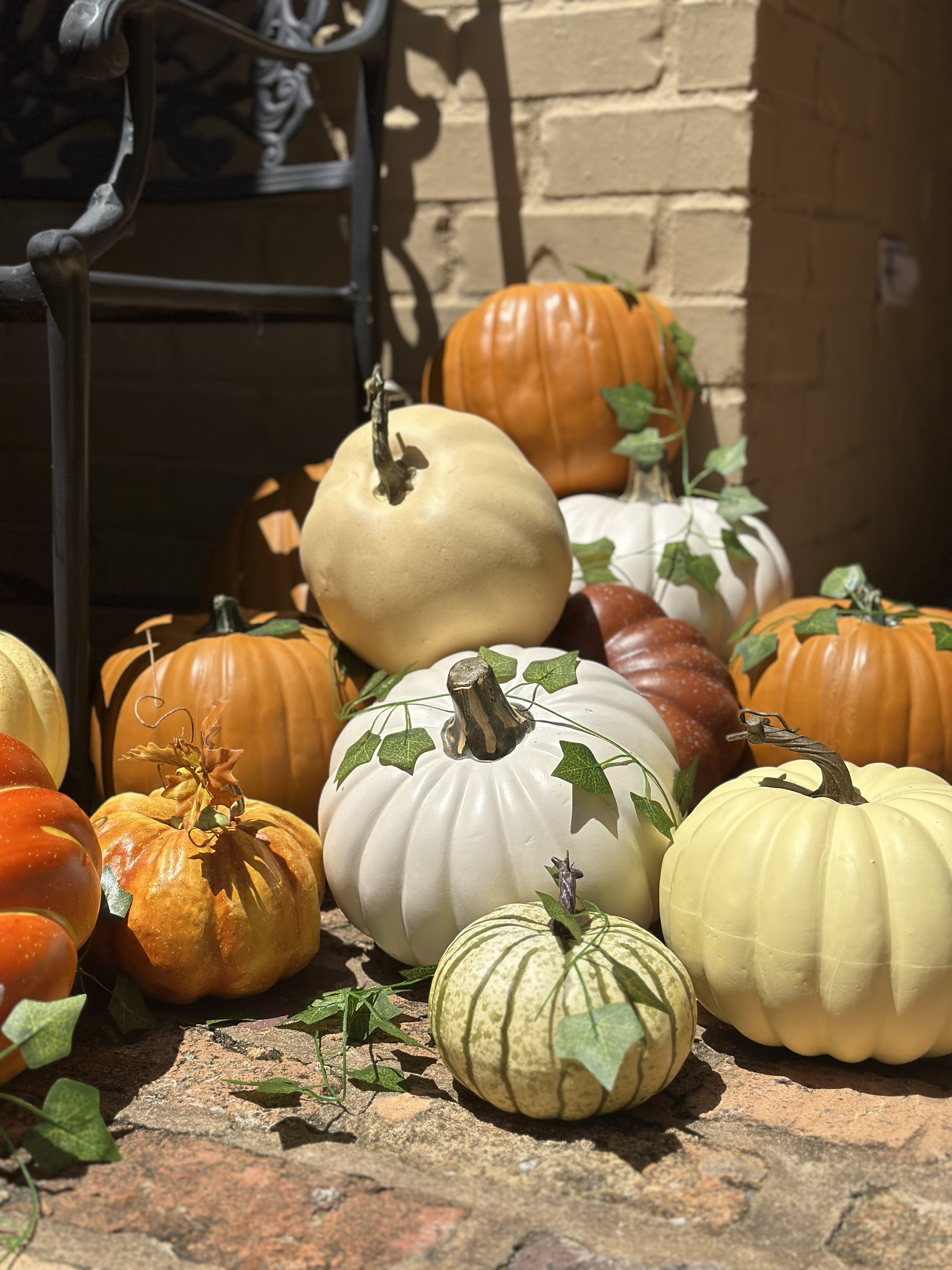 Once Upon A Gourd Package