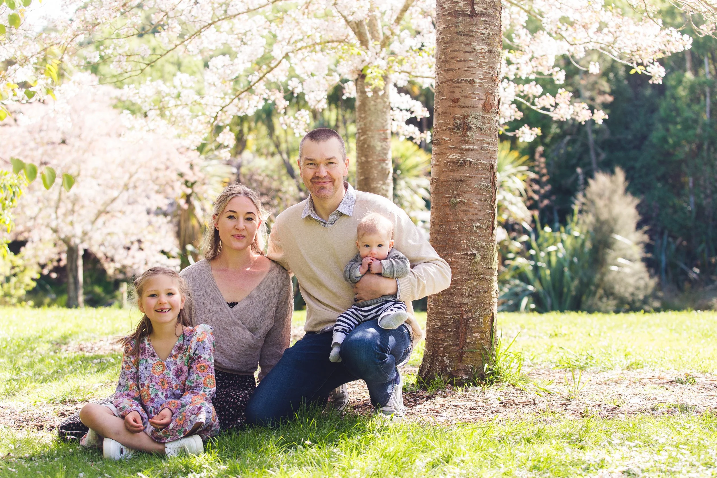 A family of four posing outdoors in front of blooming trees with pink flowers, sitting on the grass on a sunny day.