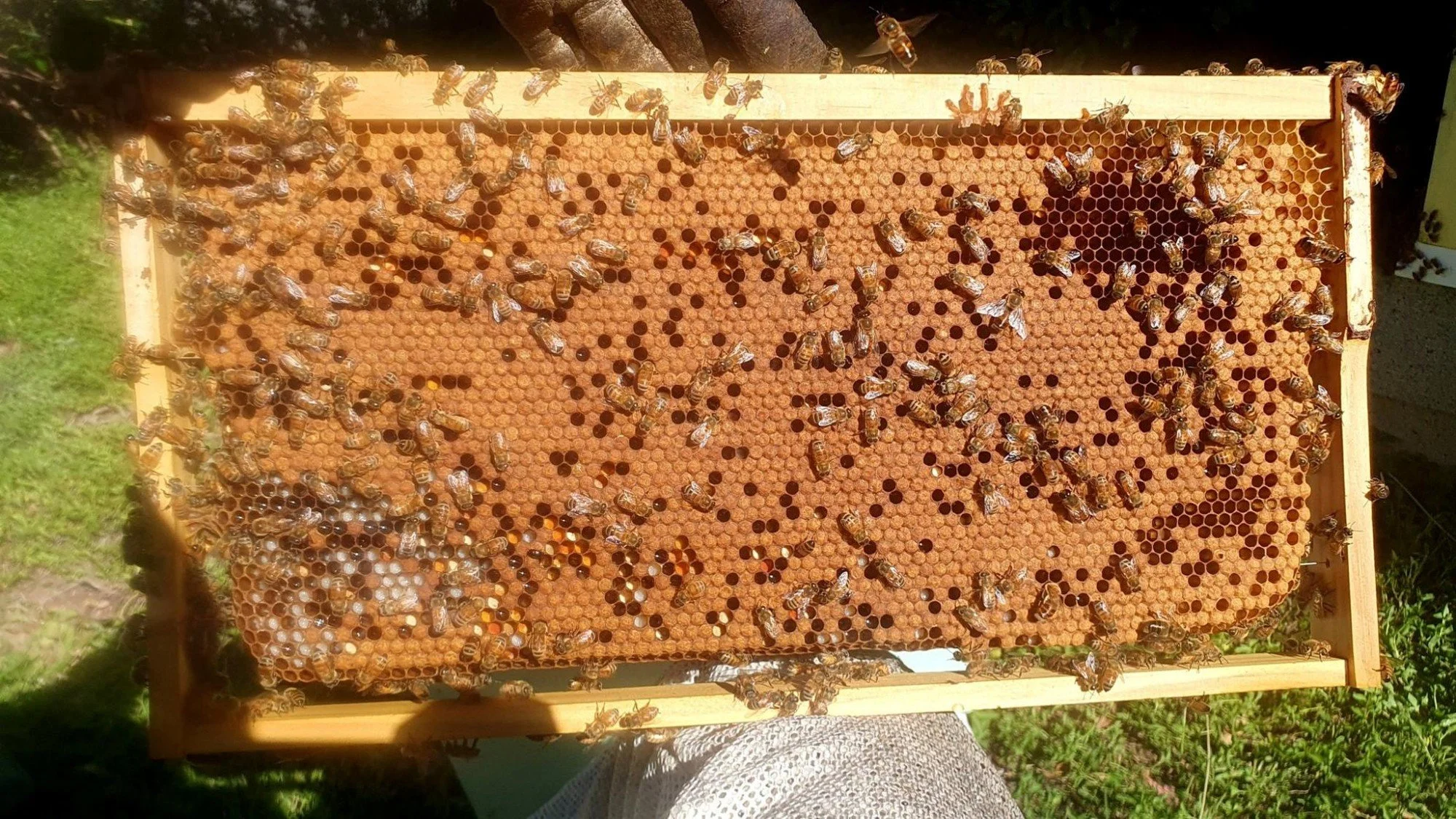 Monthly Meeting: Chris Turnbull