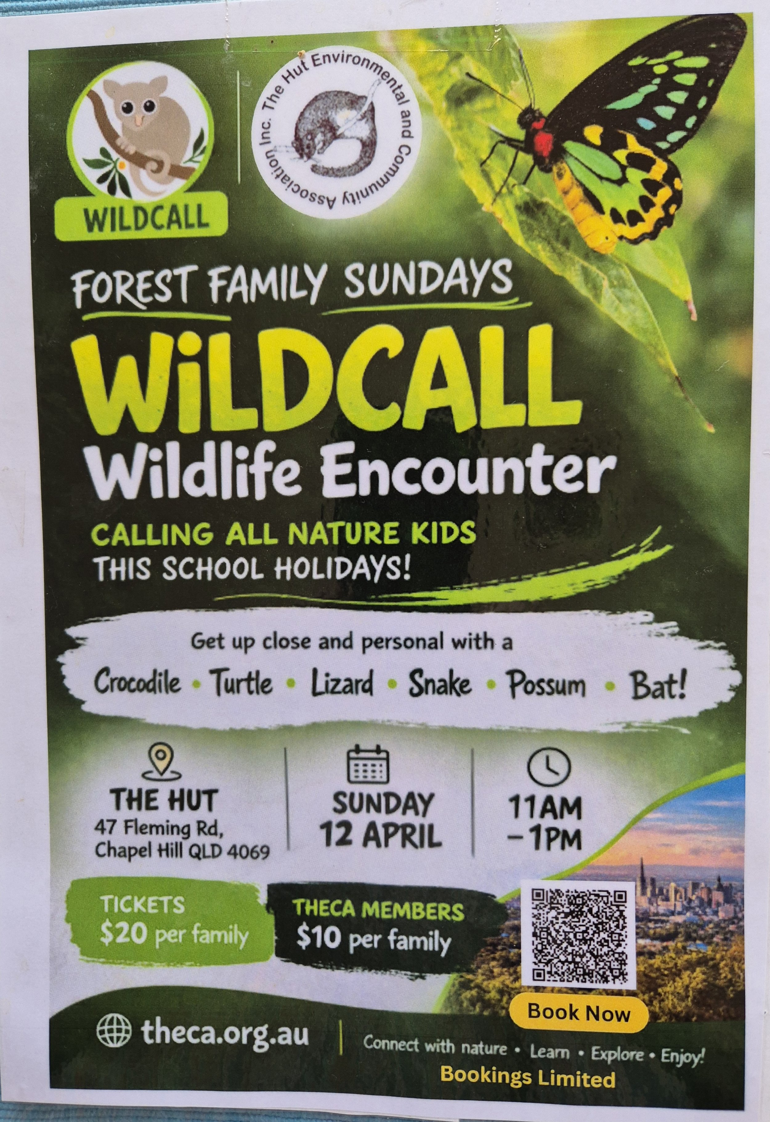 Forest Family Sundays: Wildcall Wildlife Encounter