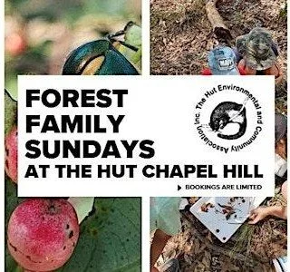 Forest Family Sundays: Trees and Seeds