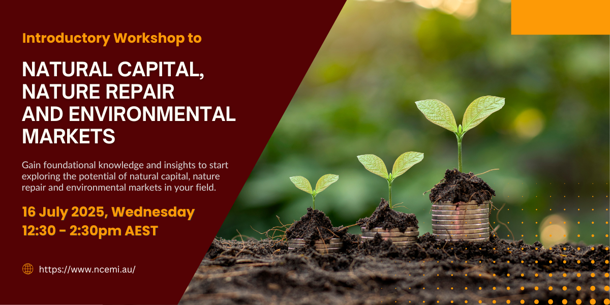 Introductory Workshop to Natural Capital, Nature Repair and Environmental Markets