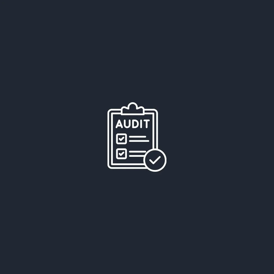Website Audit.jpg
