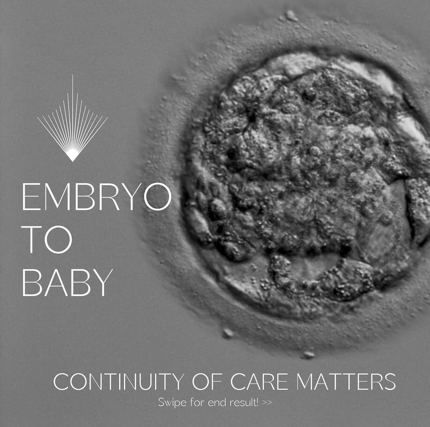 Picture 1: Made by Prologue - Penelope on the 11.12.2023
Picture 2: Delivered by Prologue - Penelope on the 24.08.2024
Prologue can be with you from the very start of your fertility journey until the moment you are holding your baby, offering conti