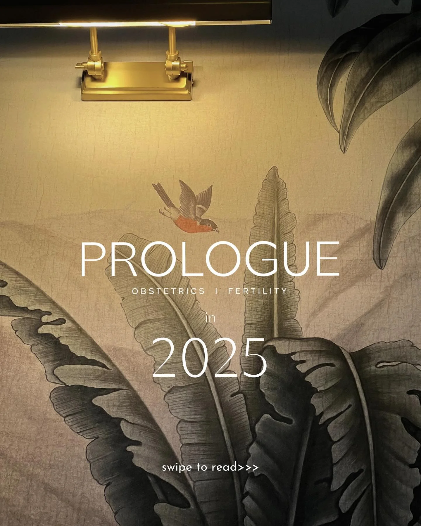 Prologue specialises in new beginnings by providing unrivalled fertility, obstetric and midwifery care. We are ready and waiting to give you the attention and experience you deserve this year. 
Happy New Year from all of us here at Team Prologue x