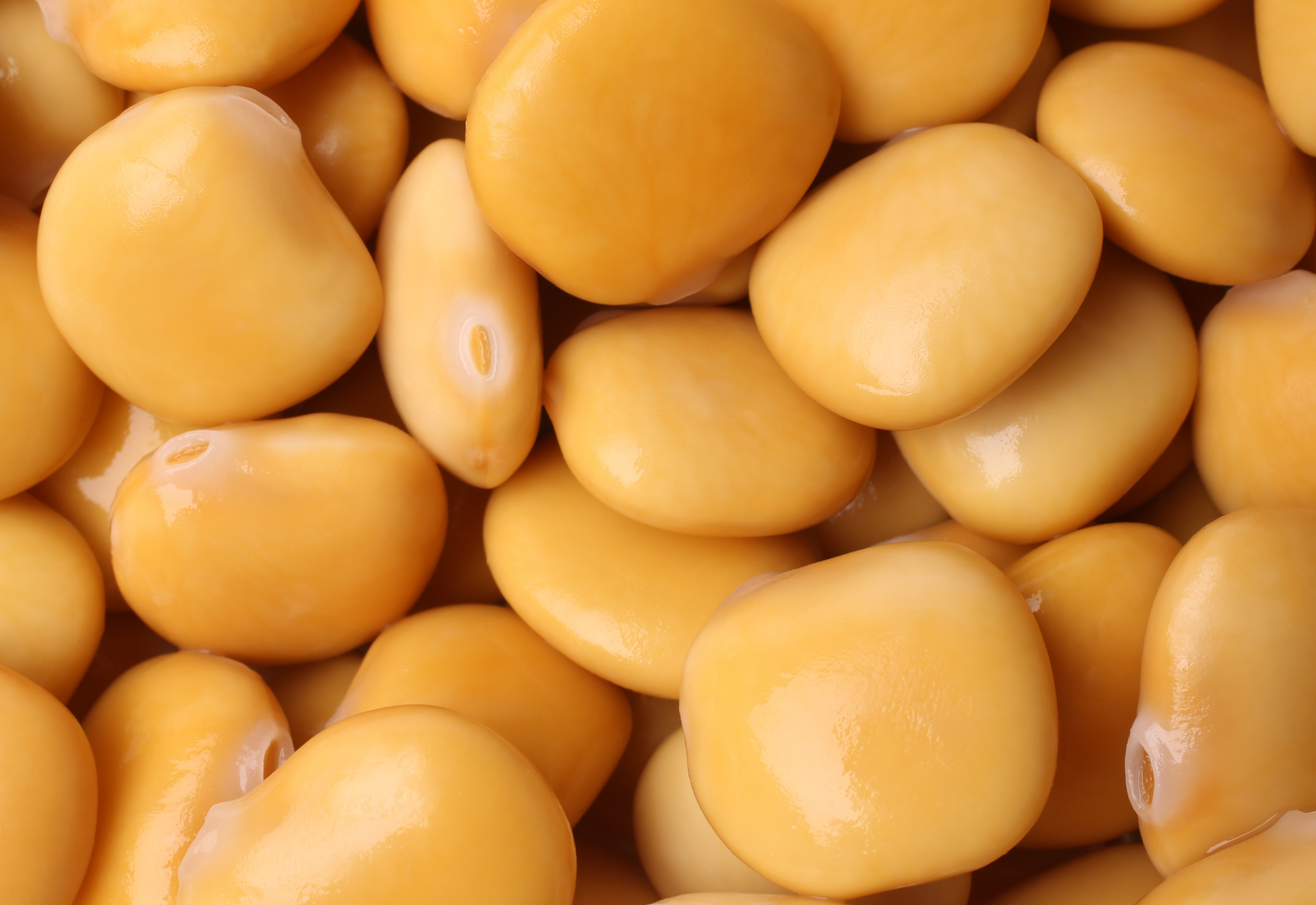 Protein: The Powerhouse Nutrient You Might Be Undereating