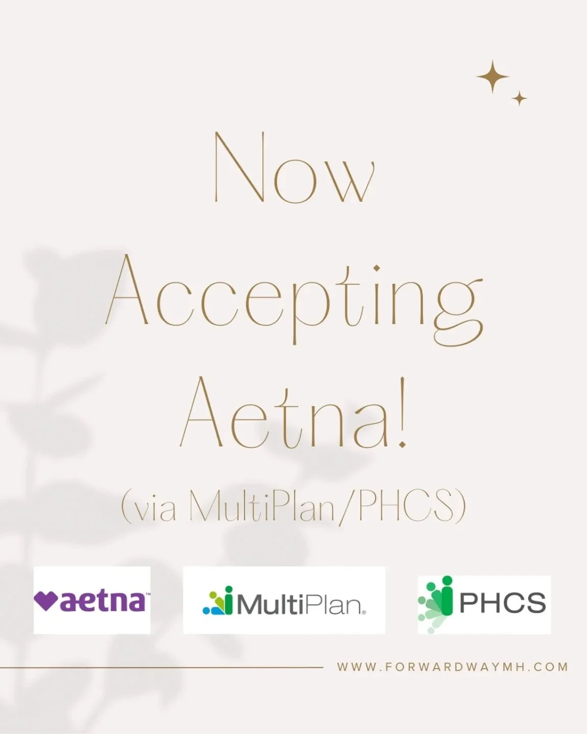 Accessibility update! 🌿

​I have some exciting news to share&mdash;I&rsquo;ve expanded my insurance coverage! I am now in-network with Aetna through MultiPlan/PHCS.

​I&rsquo;m committed to helping you navigate the "business side" of thera