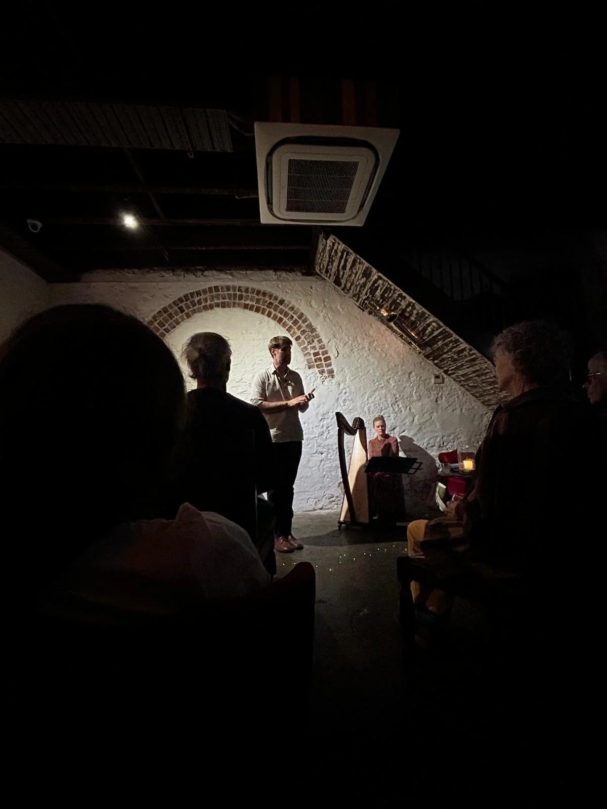 Will Wilson, storyteller